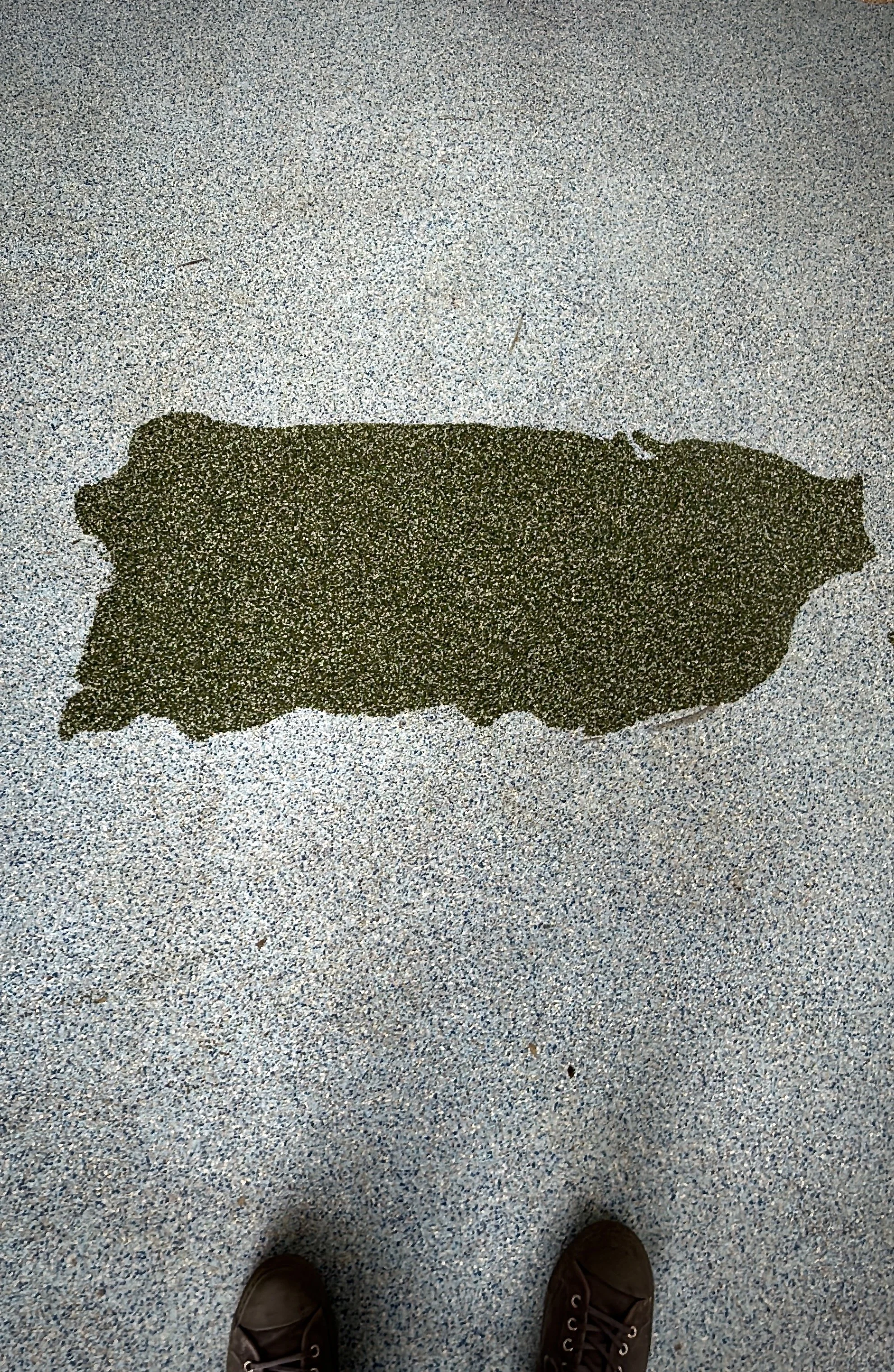map of boriken | puerto rico 2025