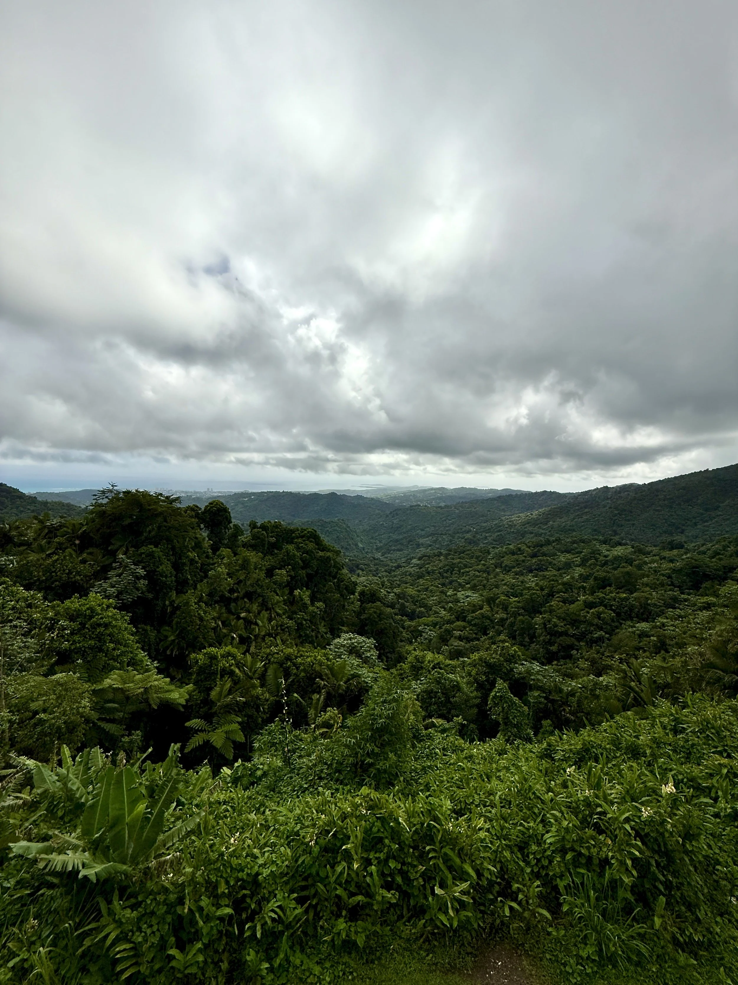 el yunque national rainforest boriken | puerto rico 2025