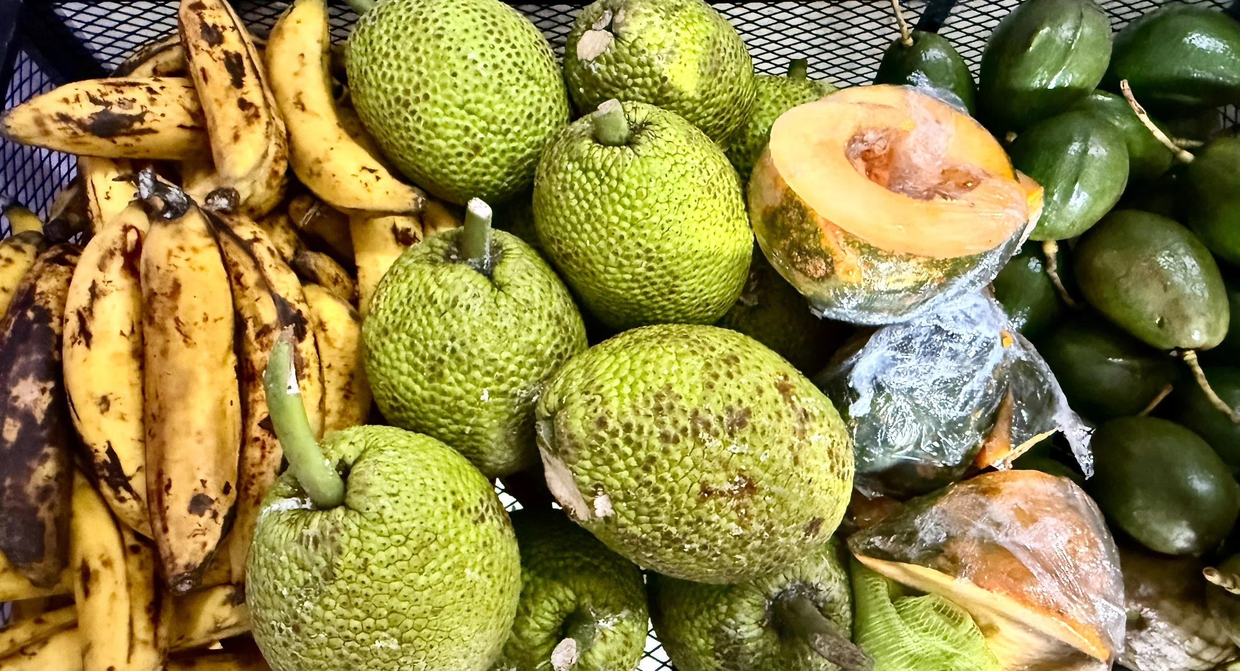 el departamento de la comida caguas - boriken | puerto rico 2025 Fresh local produce (plantains, breadfruit, avocados) for community members.