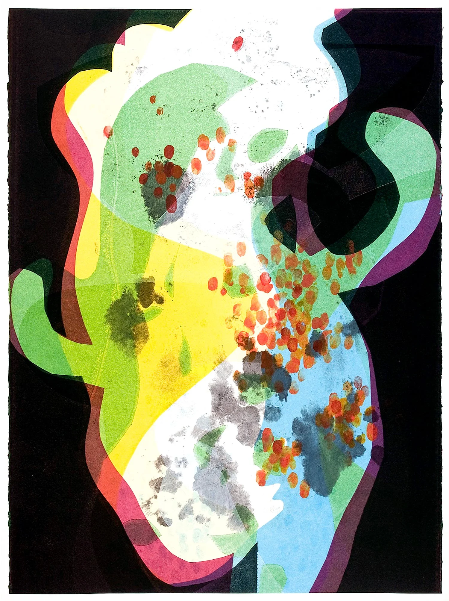 Carrie Moyer