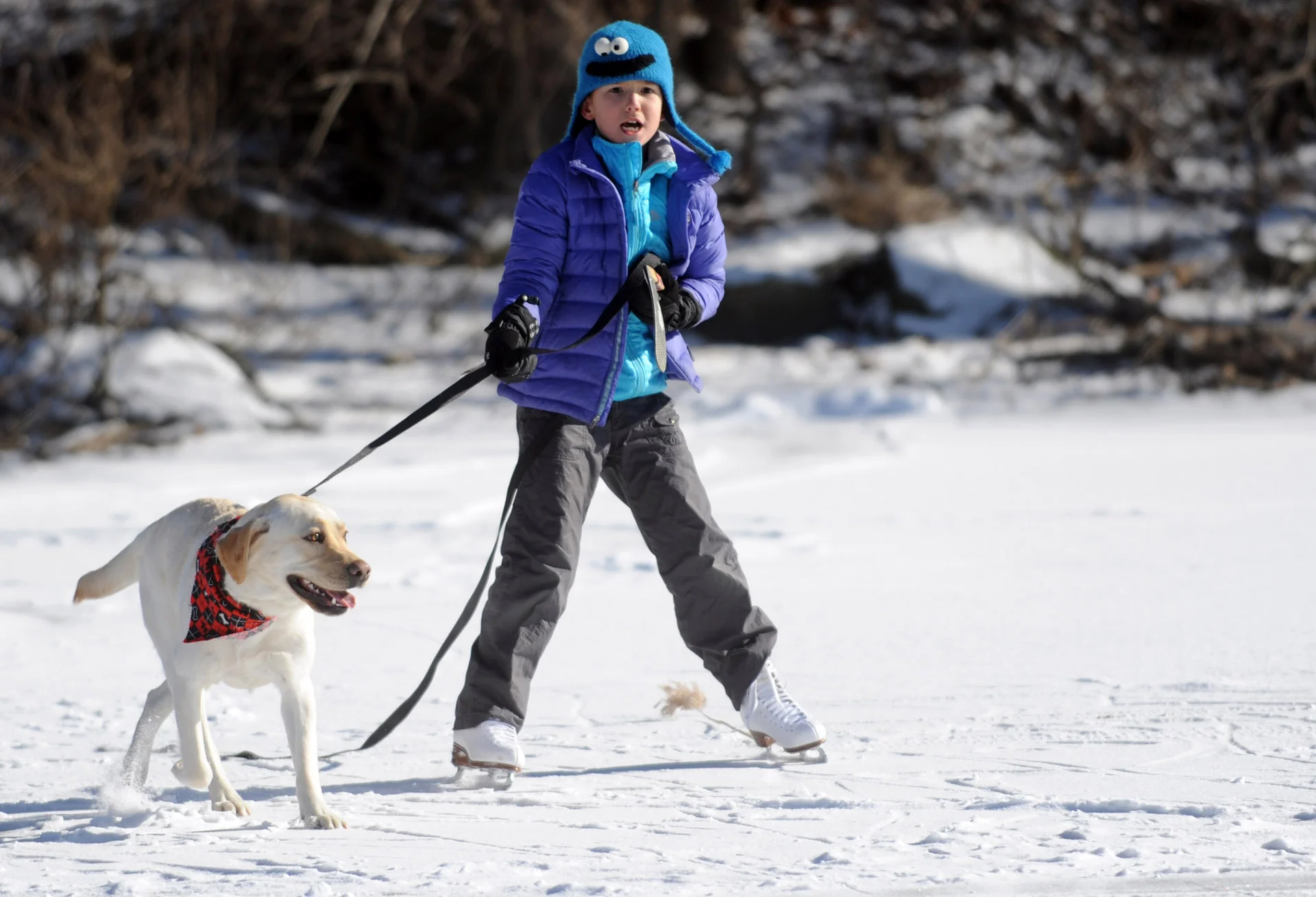 Mimi Sue Novak, 8, gets a pull from Millie as she skates on Gorham's Pond in Darien on Saturday, January 27, 2013.