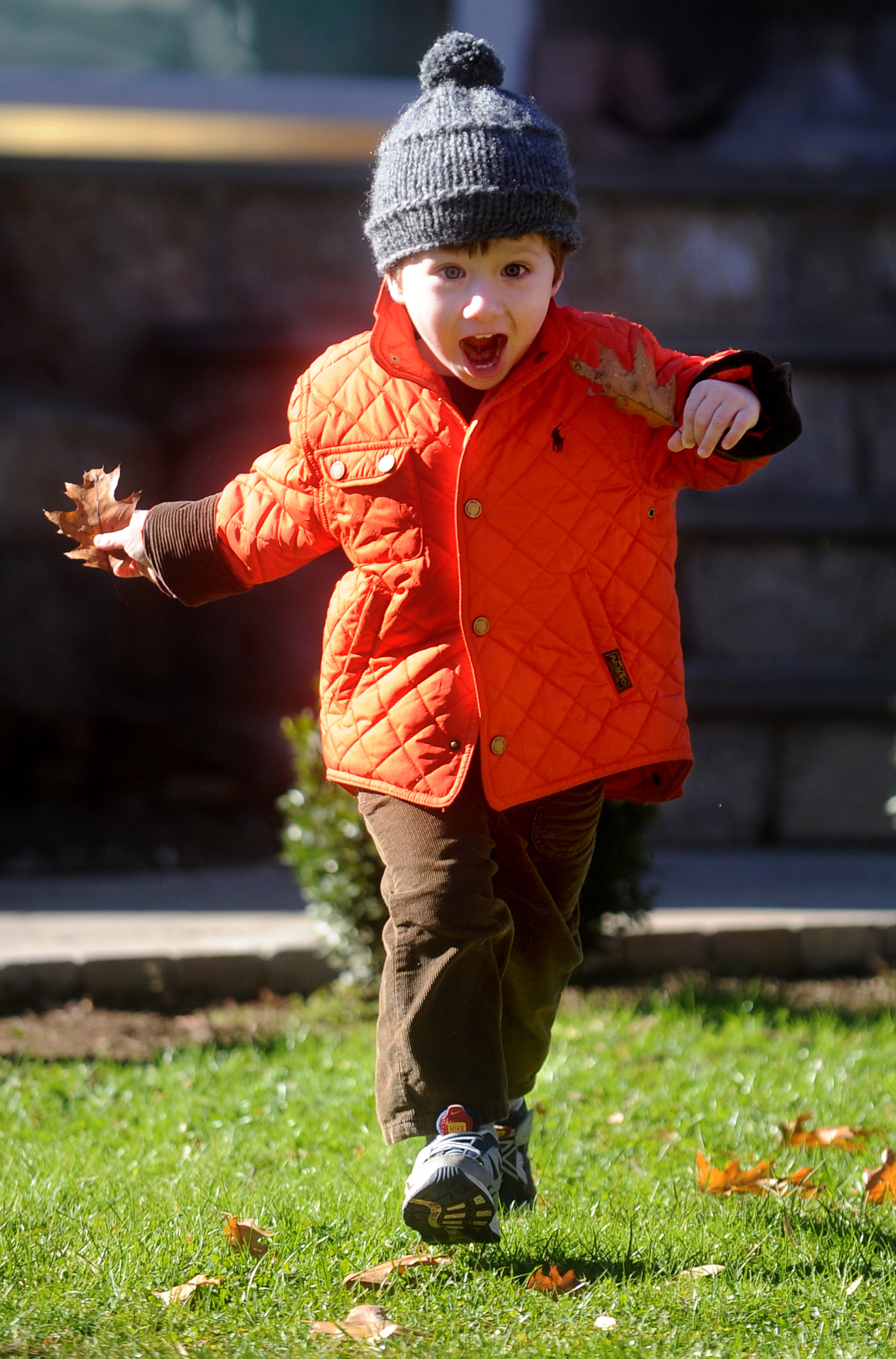 James Geaney, 3, collects leaves while on a walk with his mother, Jennifer, not pictured, on Szost Drive in Fairfield on Friday, November 12, 2010.