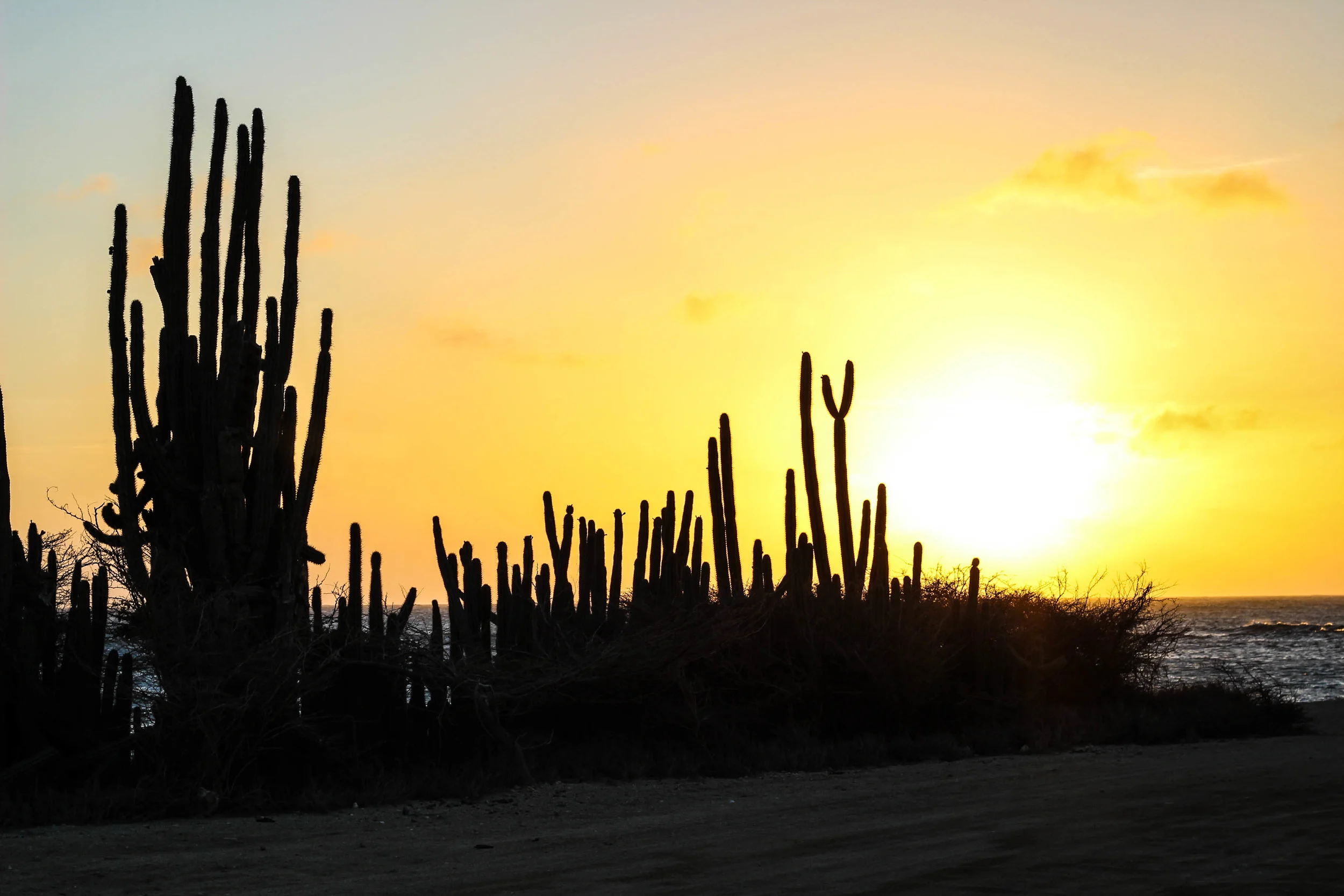 the northwestern most tip of Aruba