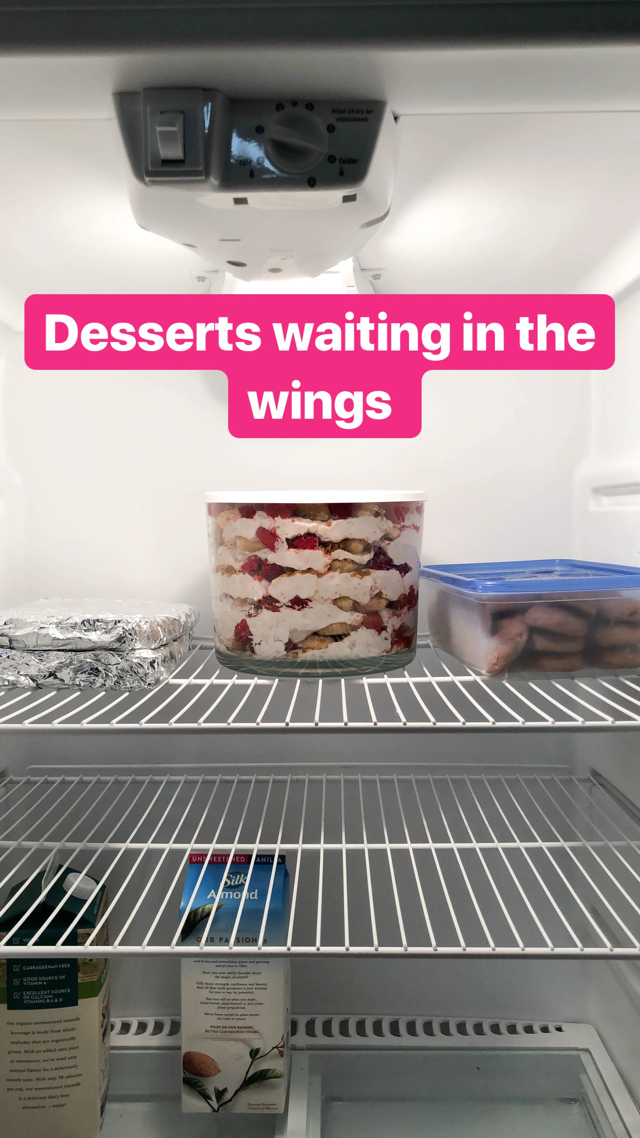 Raspberry Tiramisu - chilling.jpg