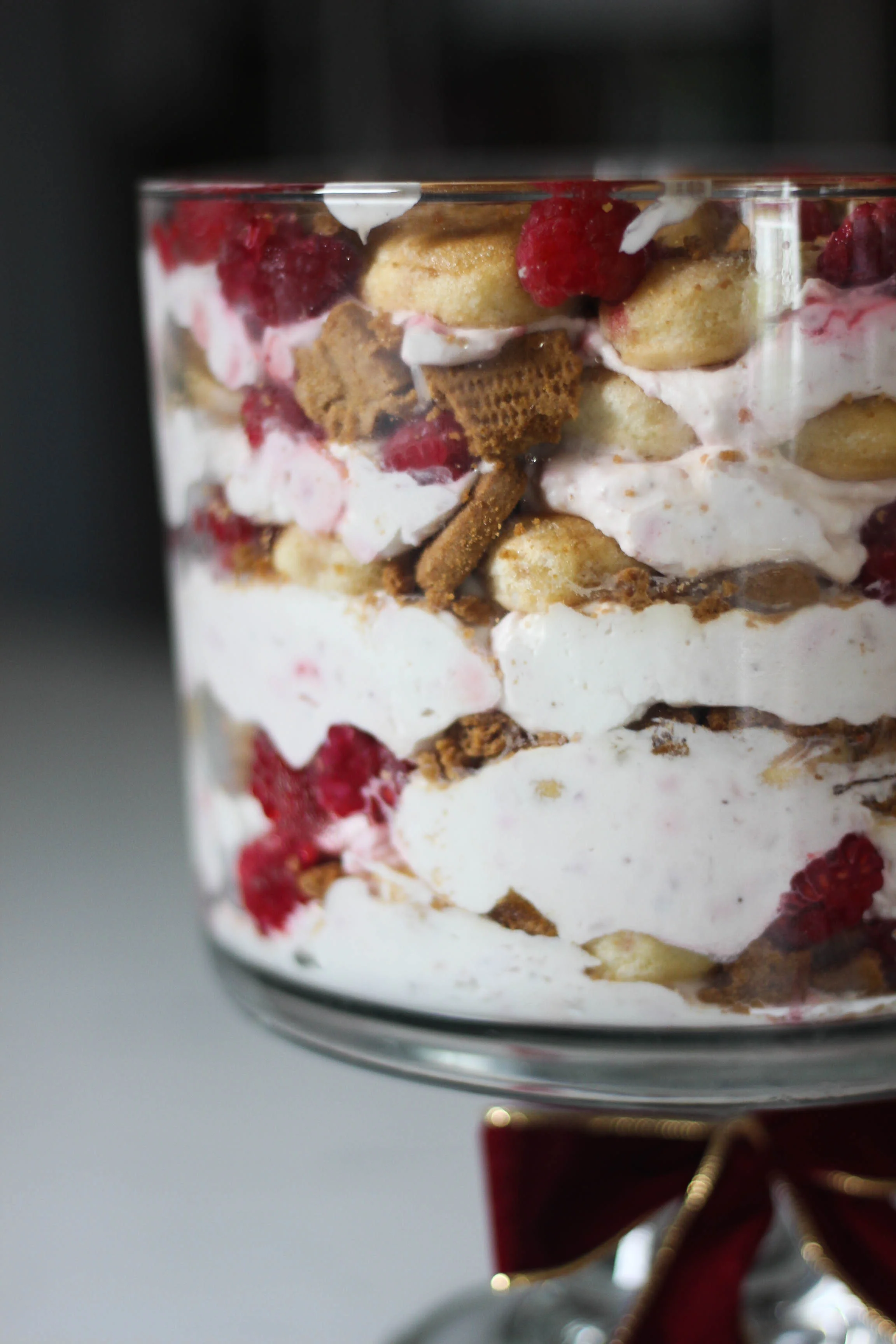 Raspberry Tiramisu - close-up .jpg
