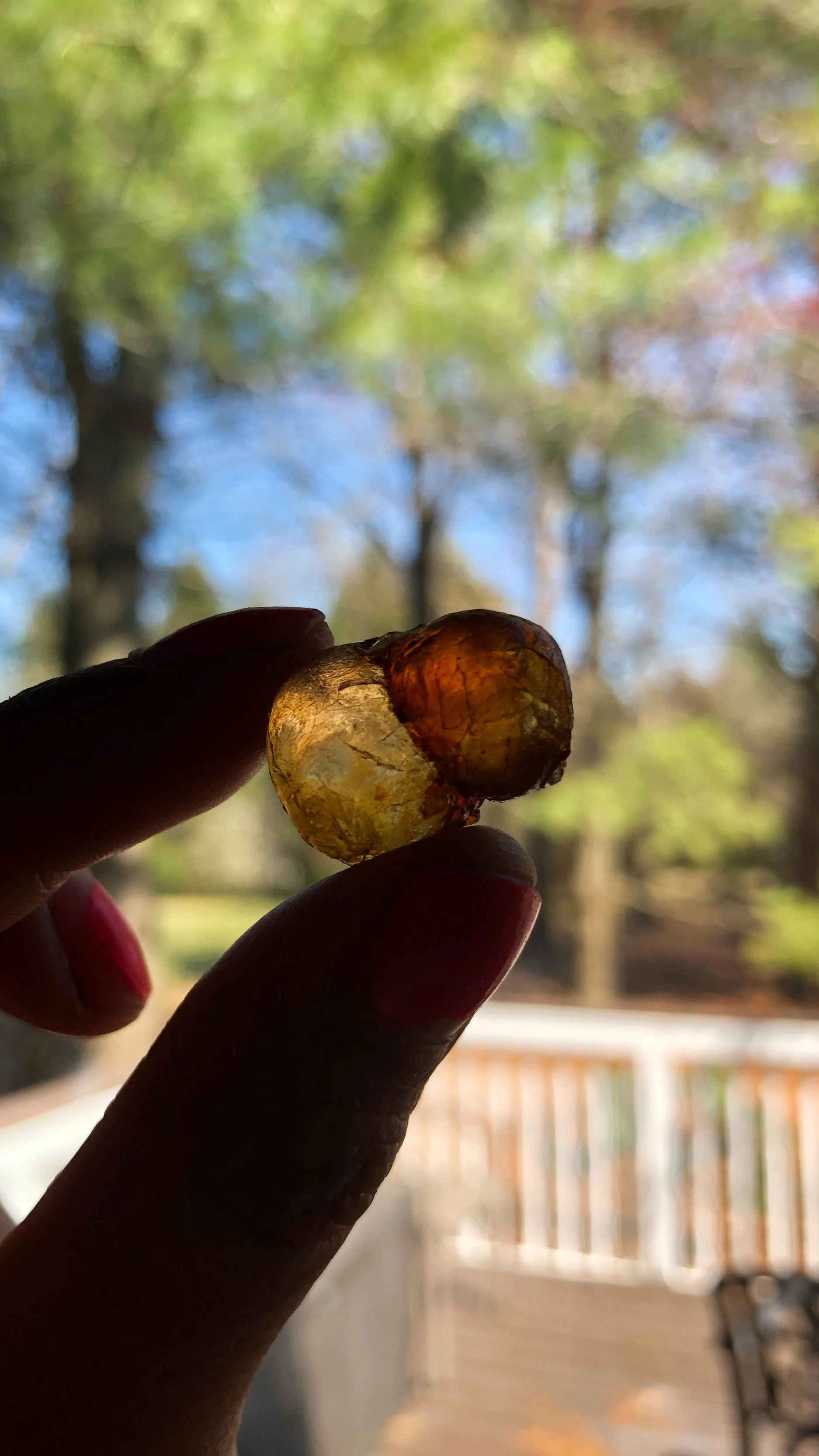 Peach+Resin-2.jpg