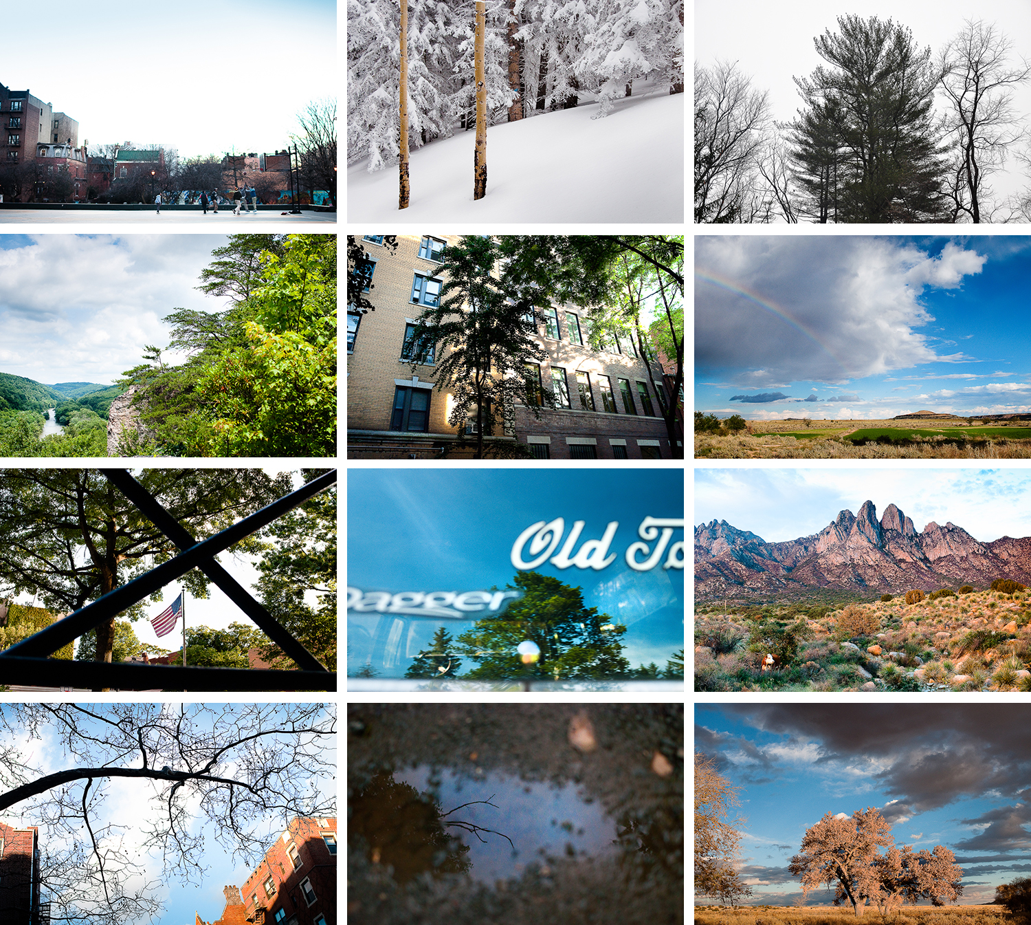 "Seasons" - (Winter, row 1) Basketball, Brower Park , Crown Heights, Brooklyn, NY; Twins, Sandia Crest , Albuquerque, NM; The Tallest Pine in the Backyard , Franklin Township, PA; (Spring, row 2) The Juniata from the Cliffs , Huntingdon, PA; Tree and Windows , Crown Heights, Brooklyn, NY; Rainbow over Flower Mountain , San Fidel, NM; (Summer, row 3) Flag and Scaffolding , Crown Heights, Brooklyn, NY; Rear Window , Huntingdon, PA; Organ Mountain Portrait, Aguirre Springs National Monument, NM; (Fall, row 4) Above the Parking Spot , Crown Heights, Brooklyn, NY; Bare Branch and Puddle , Huntingdon, PA; Cottonwoods in Autumn , San Fidel, NM