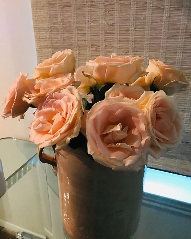 Good morning love my roses!!💕