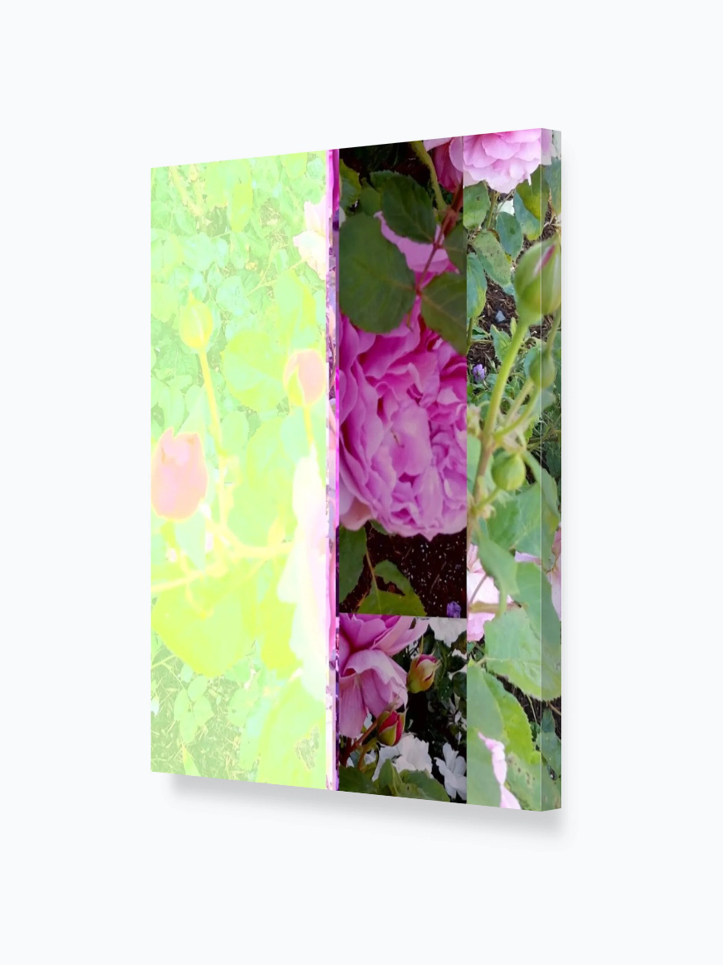 16x20_brooklyn_roses.jpg