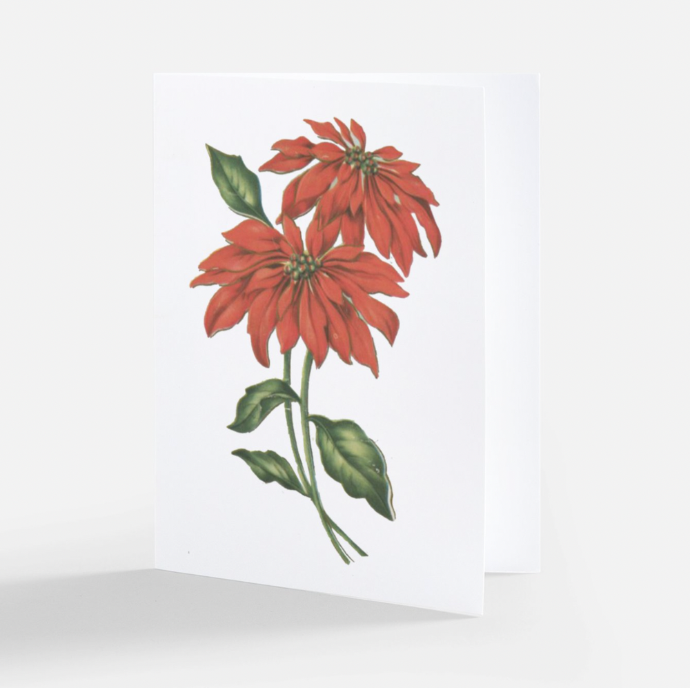 Poinsettia Fold Cards with Envelope