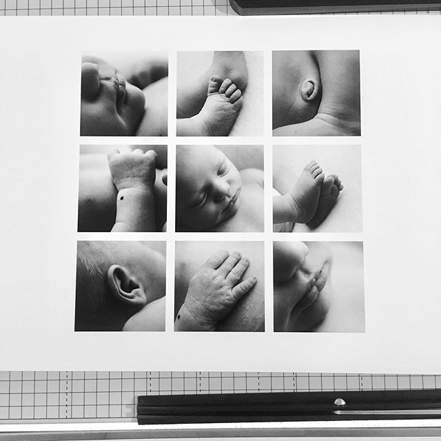 Just printed this macro grid for baby Emma, and I wish you could see this print in real life - it&rsquo;s absolutely stunning! #printyourphotos #saveyourmemories #newbornmacro #newbornsession
