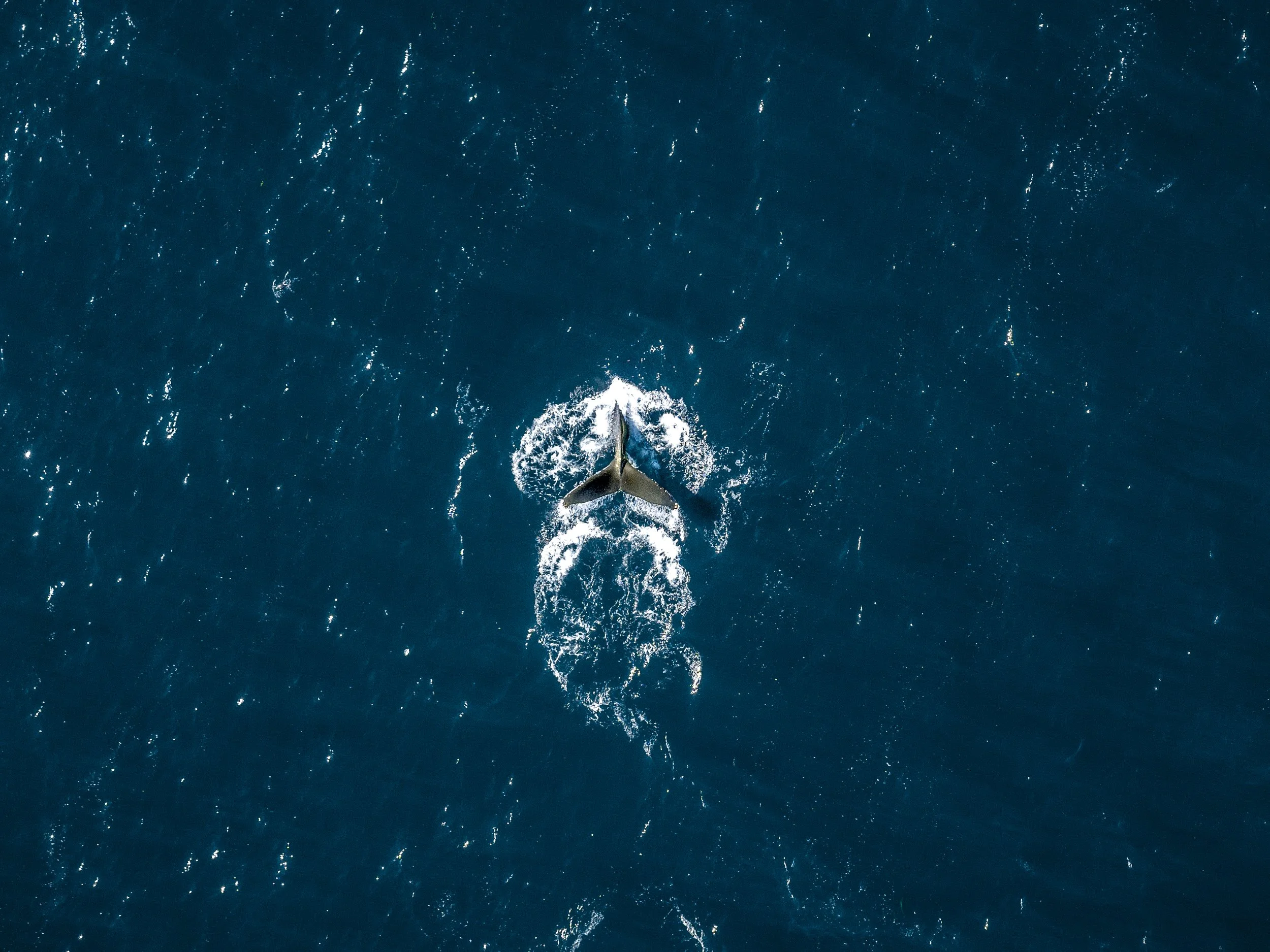 DJI_20251102122748_0849_D-3.jpg