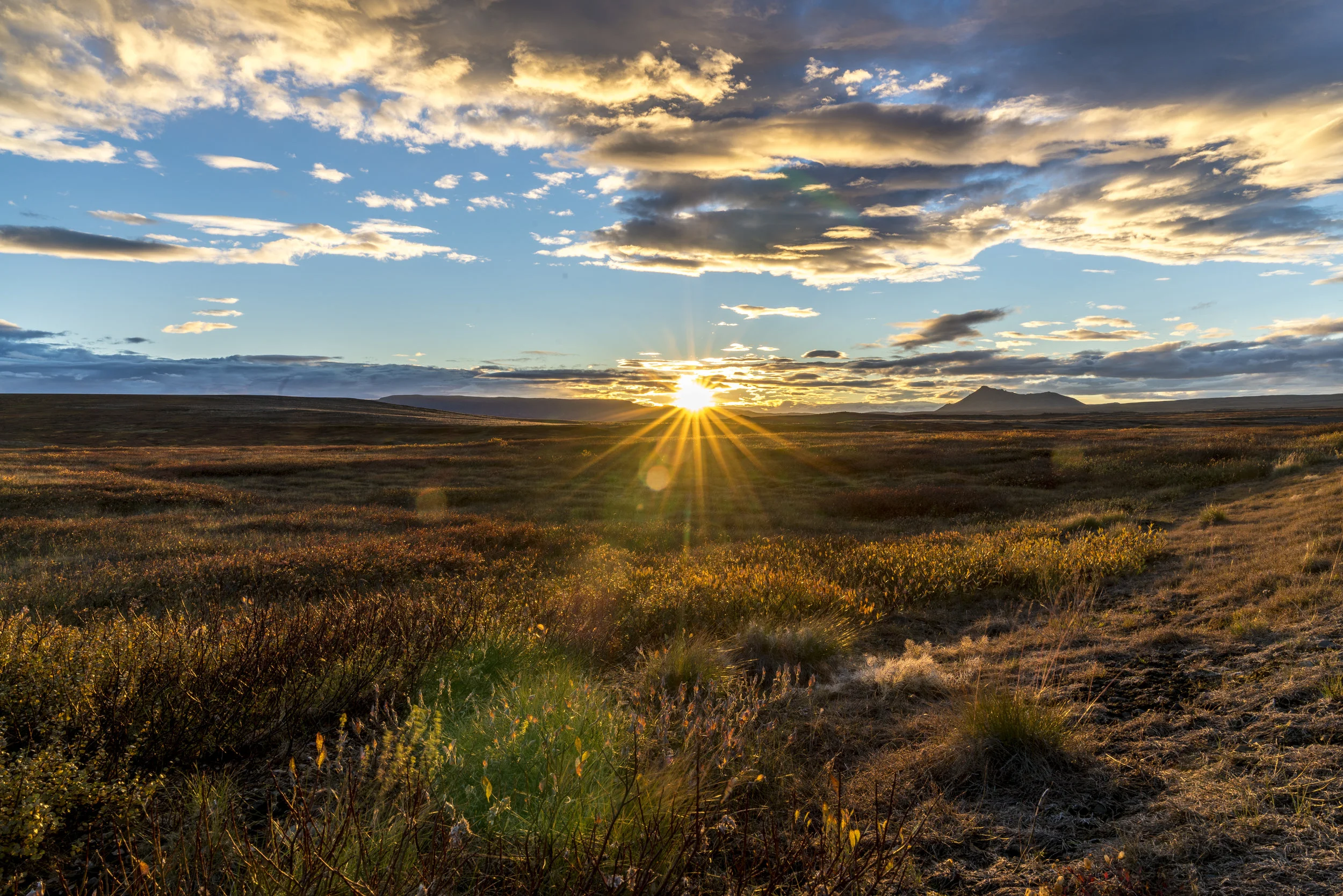 20160916-_DSC3206.jpg