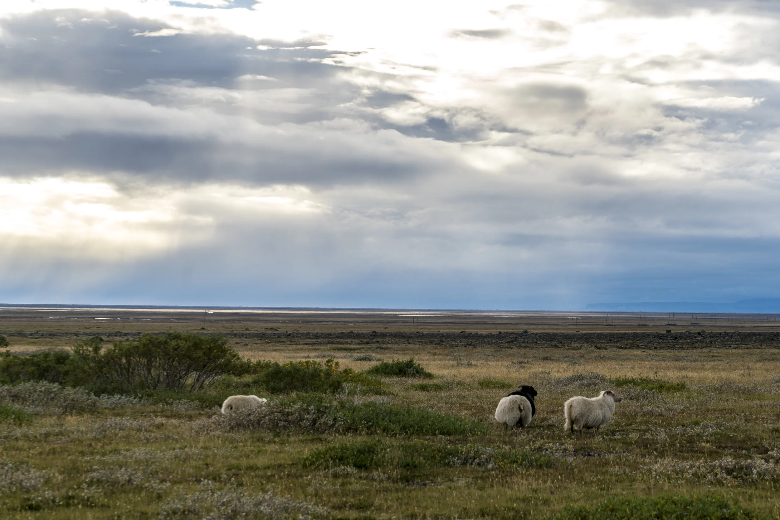 20160915-_DSC2588.jpg