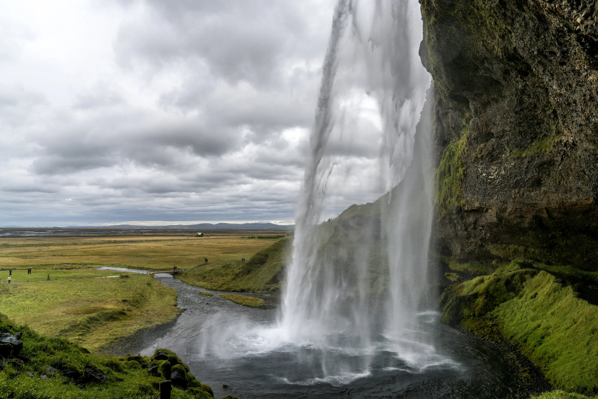 _DSC2000.jpg