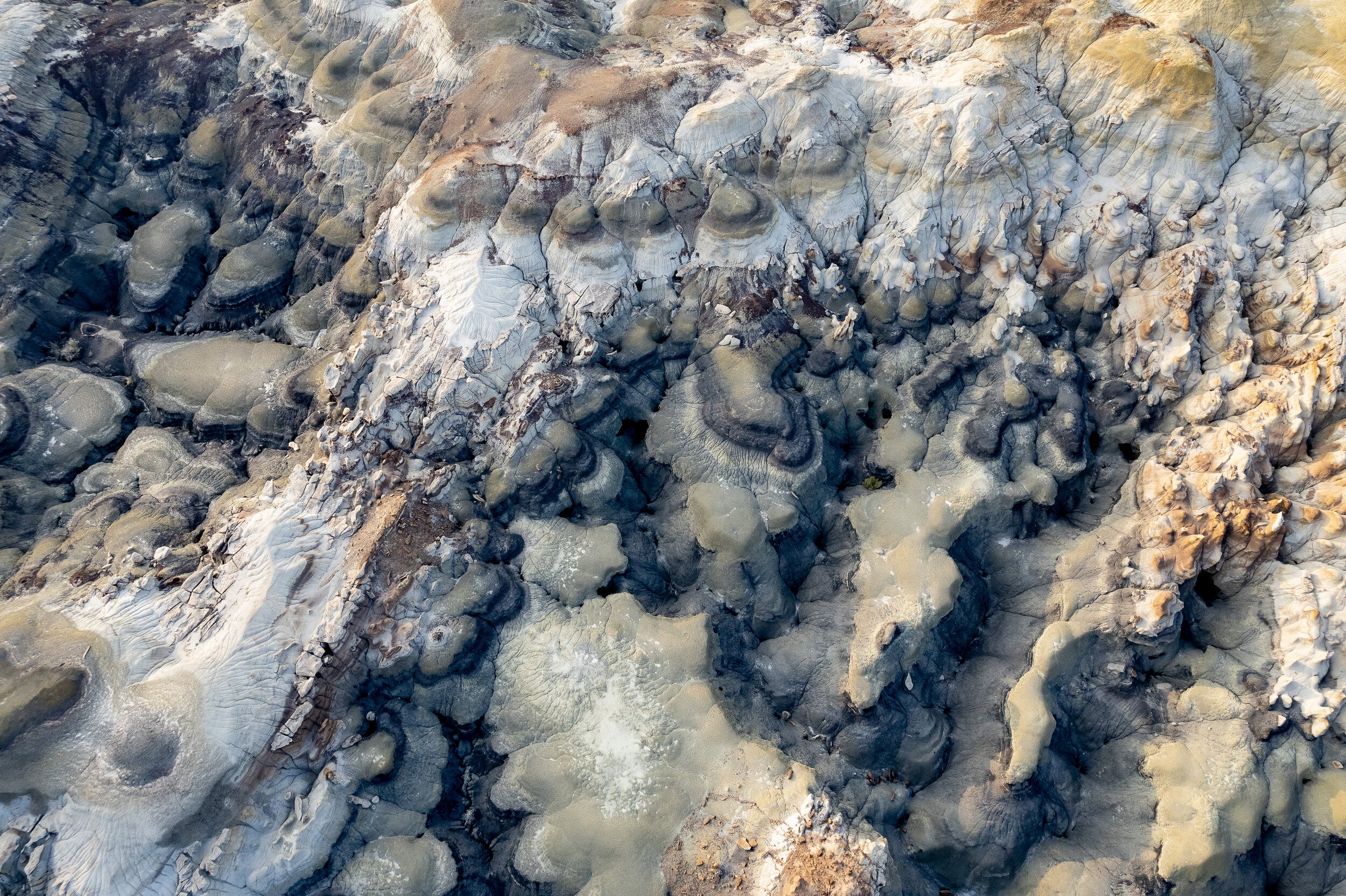 DJI_0505.jpg