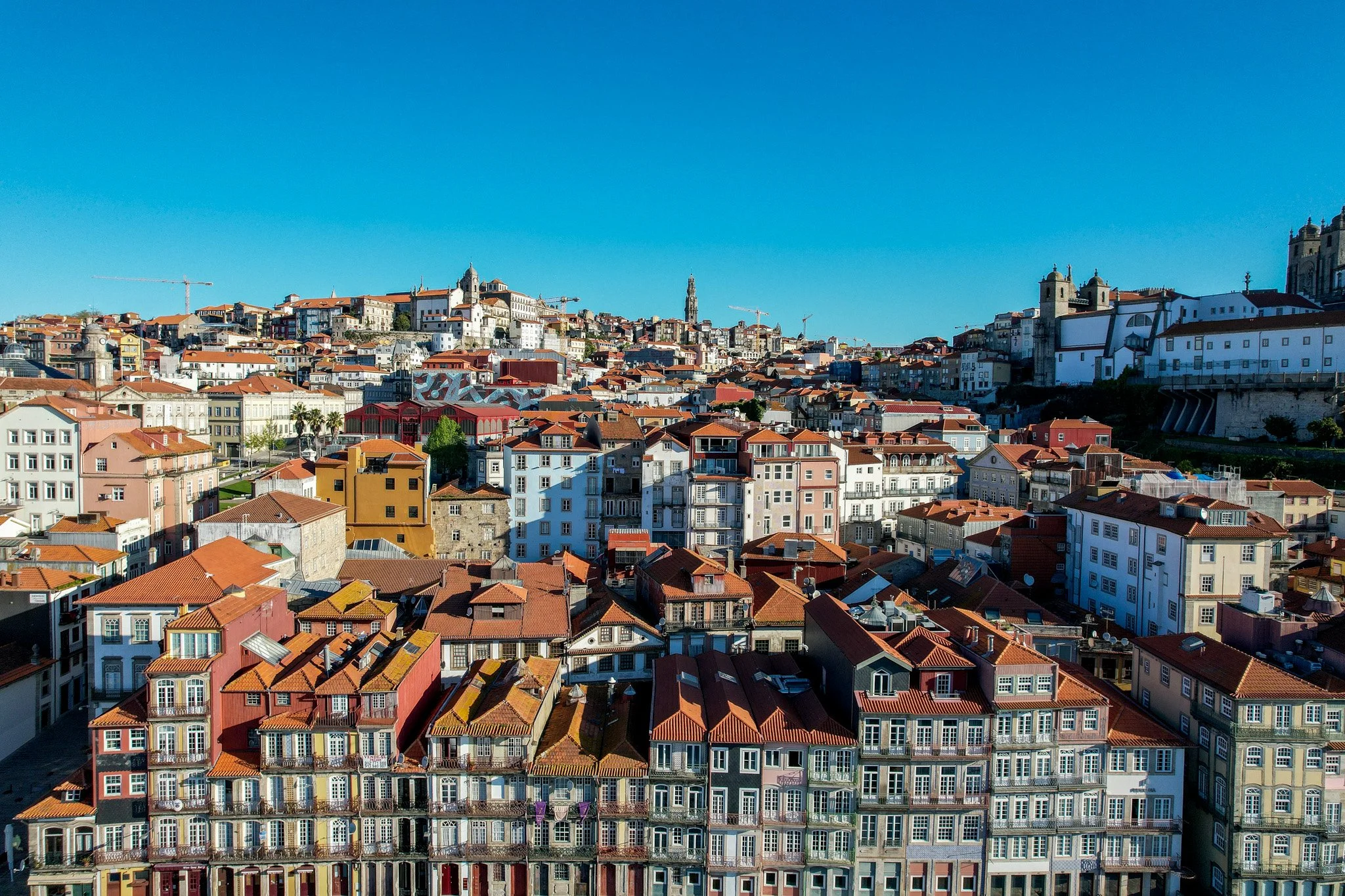 DJI_0784.jpg