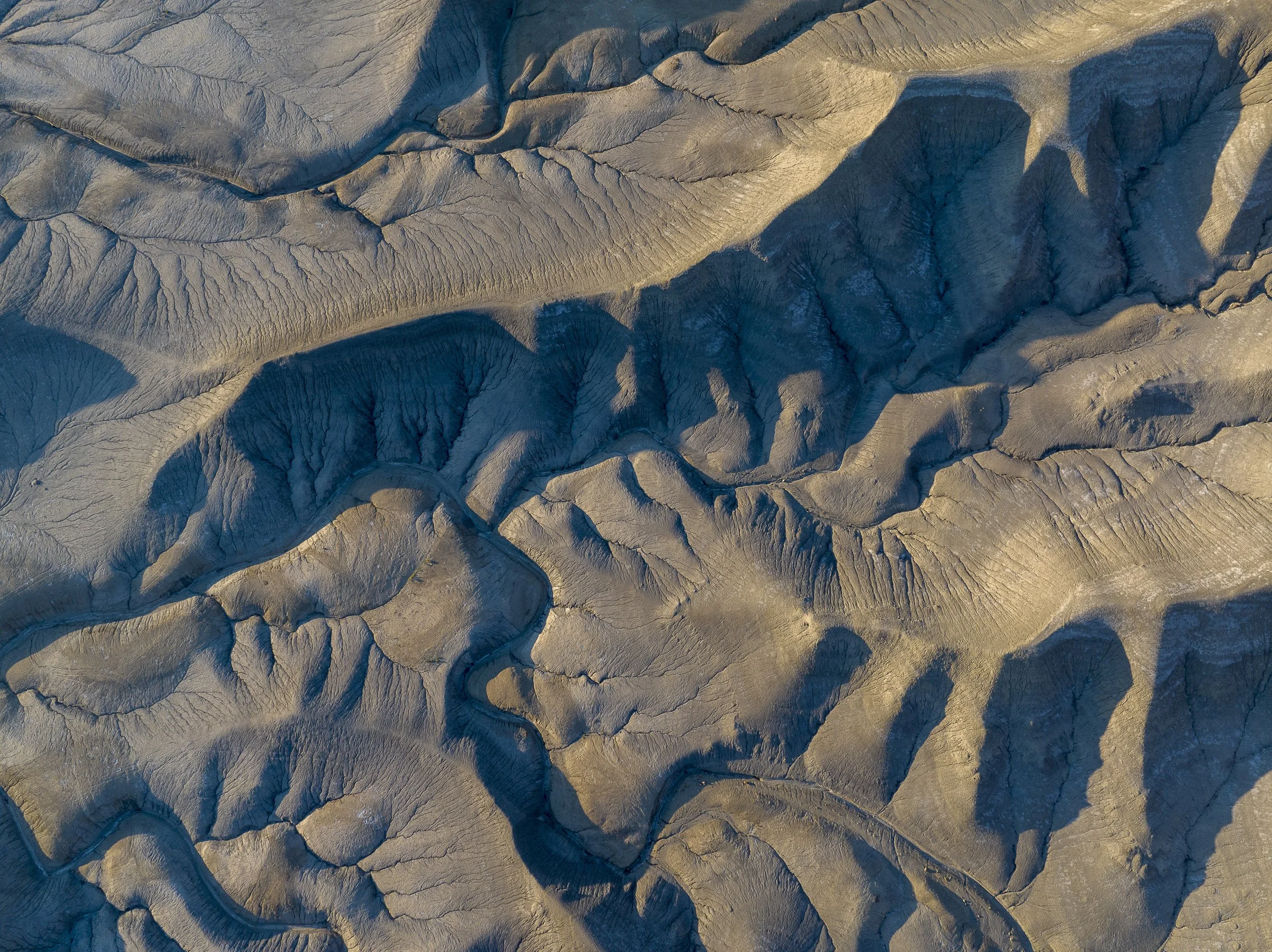 DJI_20230702053946_0663_D.jpg