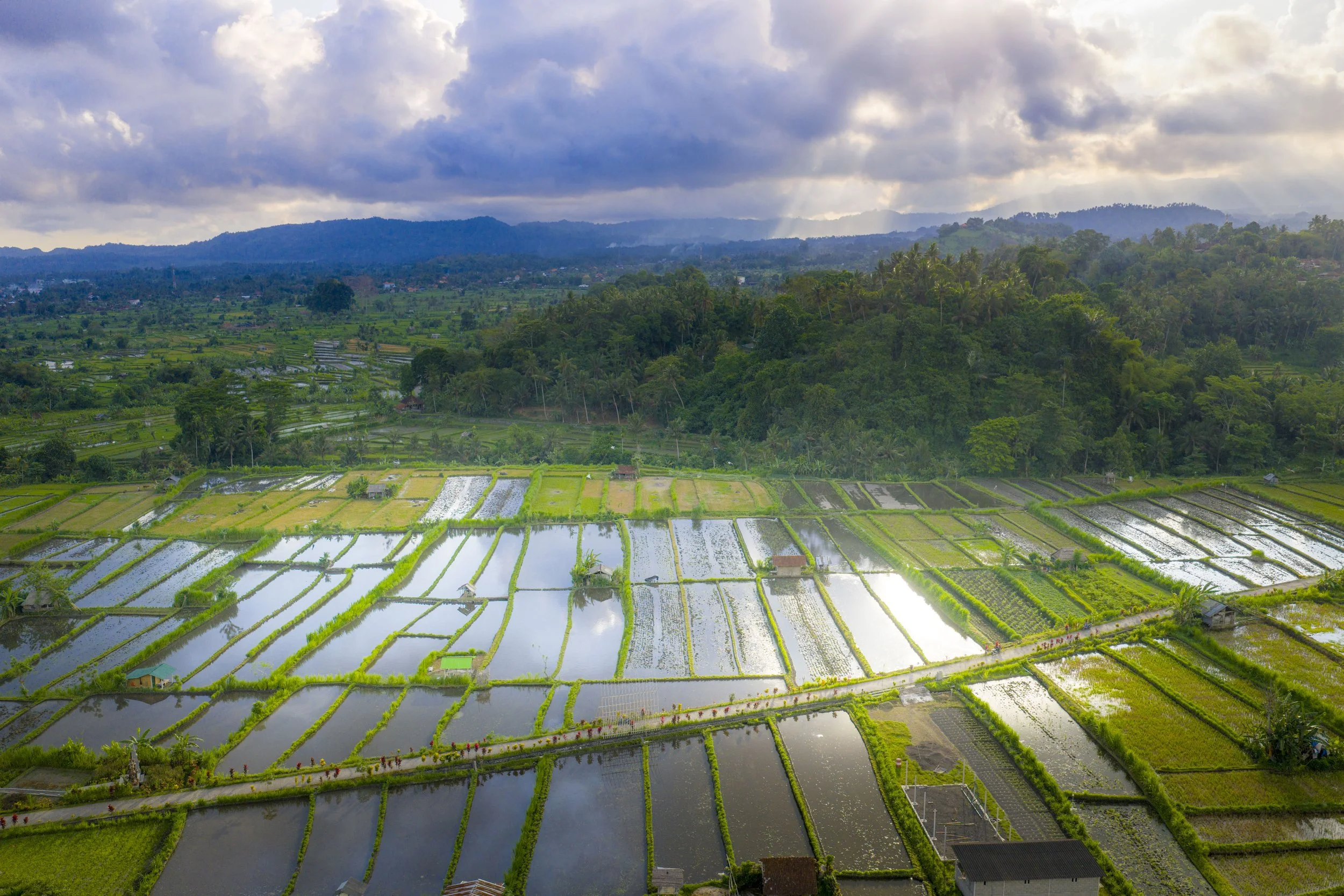 DJI_20251014020413_0009_D.jpg