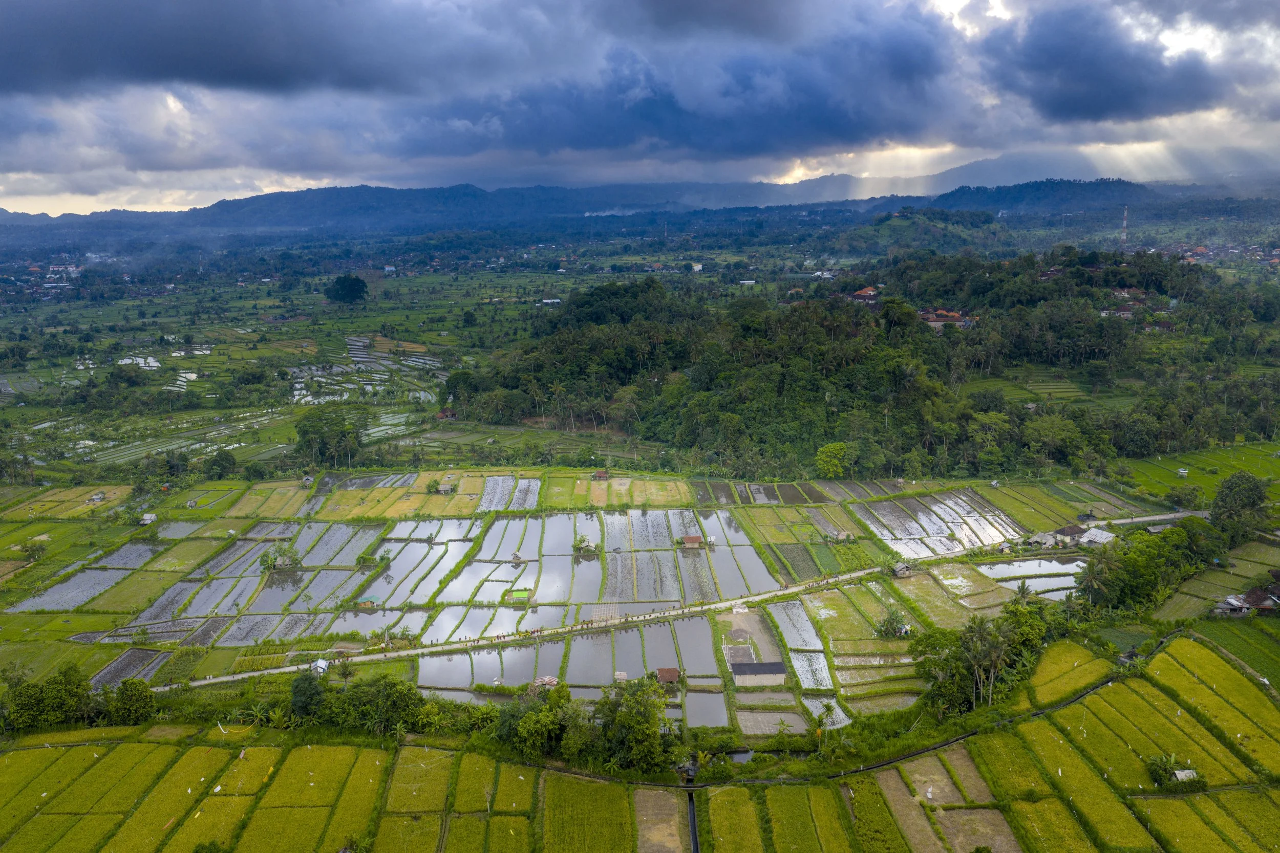 DJI_20251014020901_0034_D.jpg