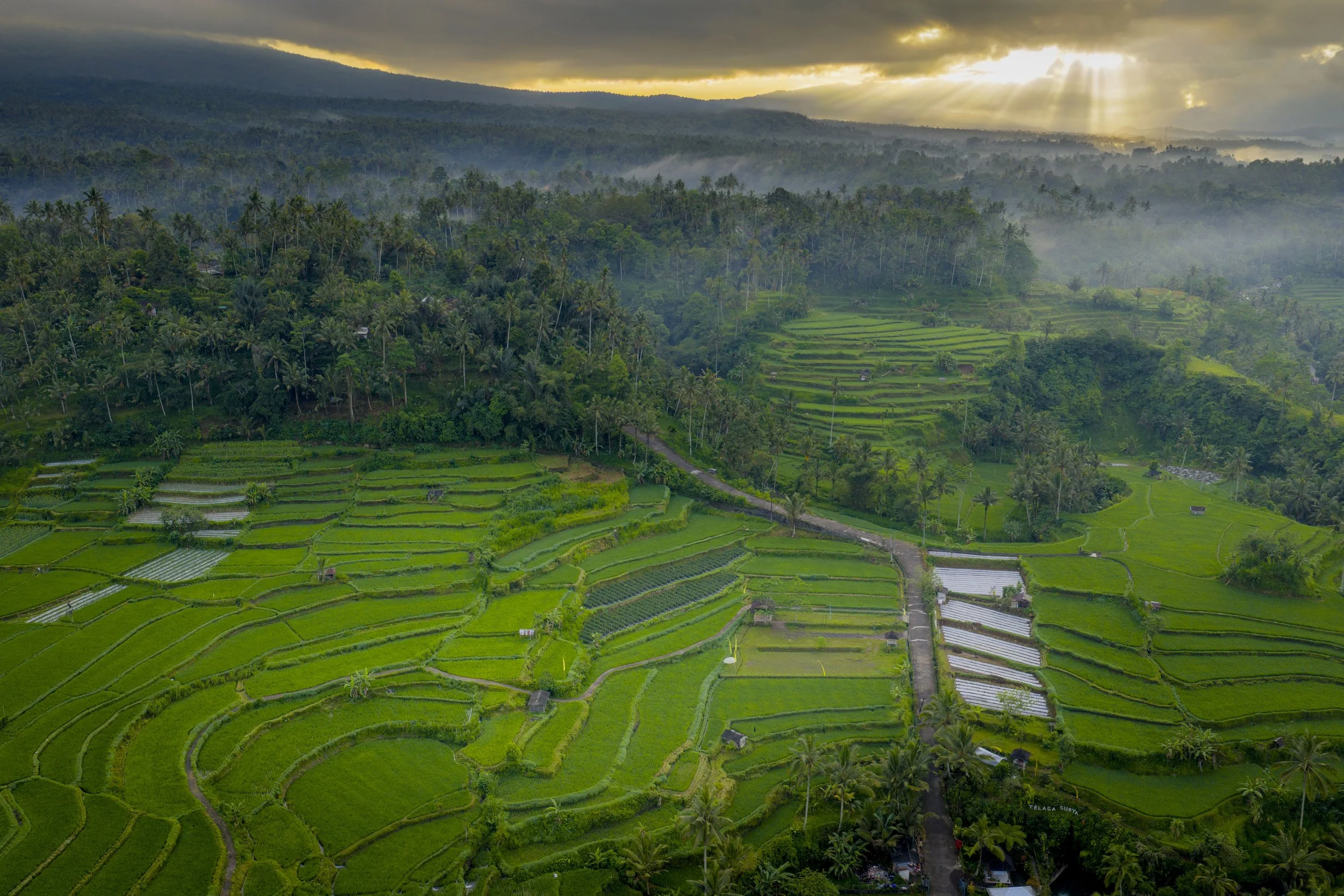 DJI_20251013152736_0625_D.jpg