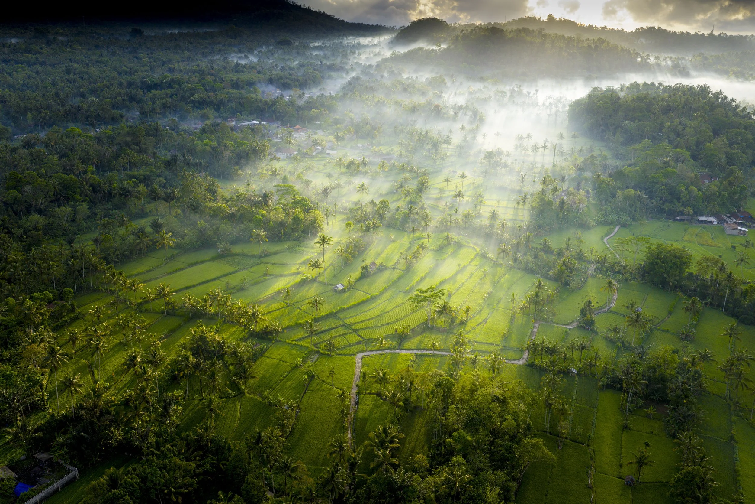 DJI_20251014153740_0313_D.jpg