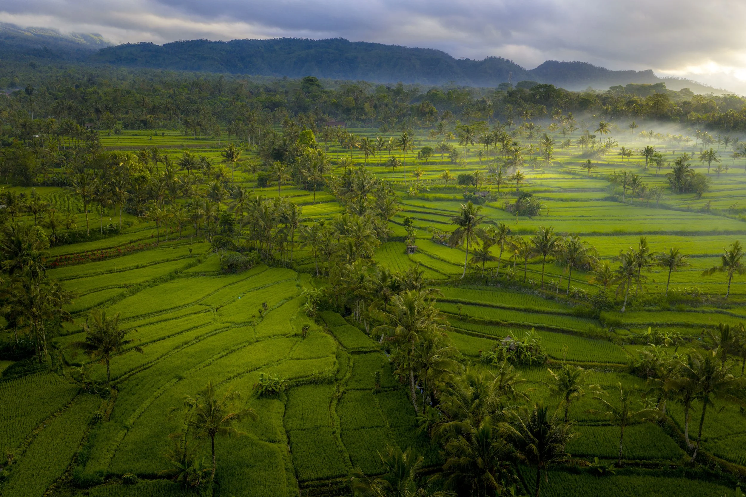DJI_20251014153434_0300_D.jpg