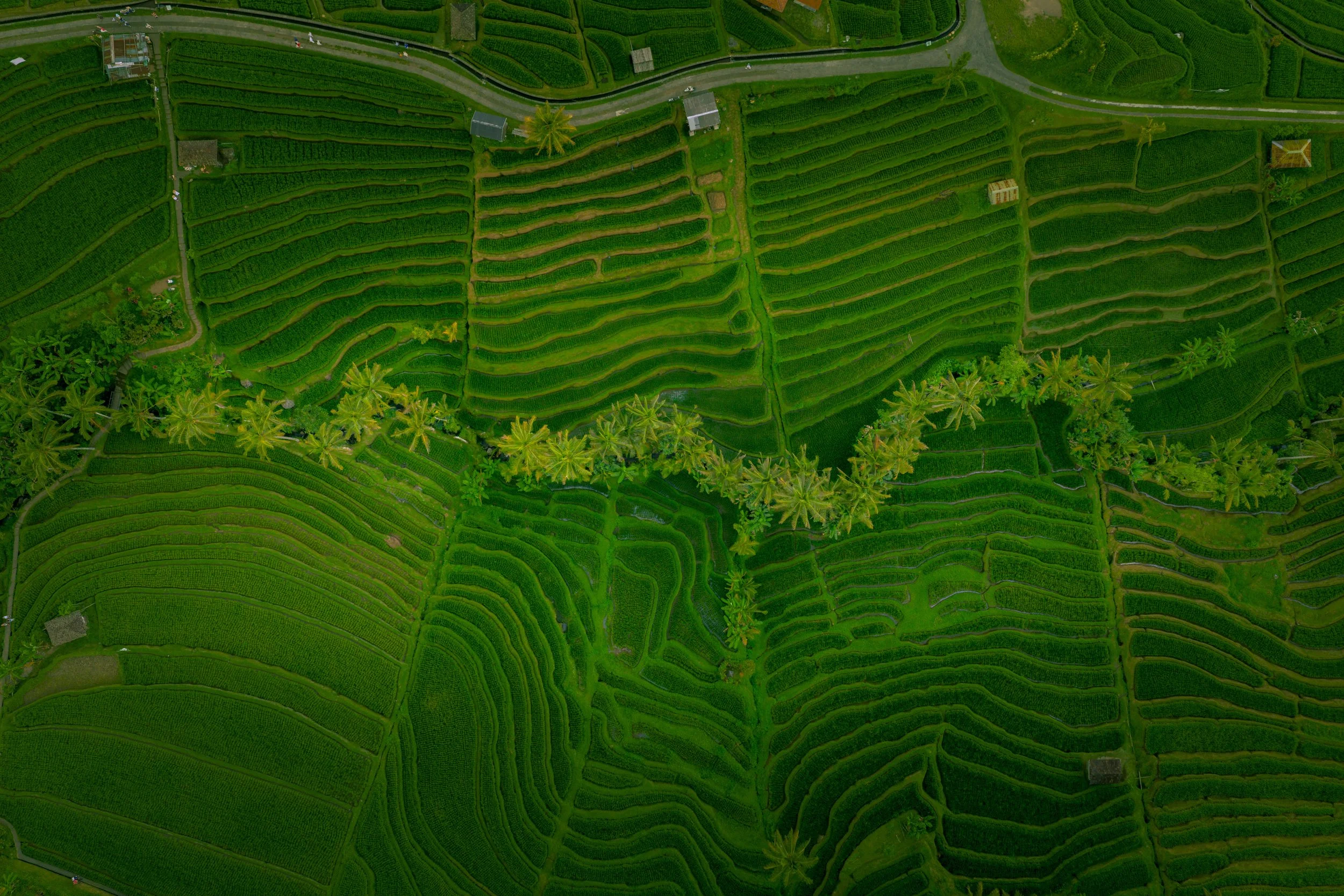 DJI_20251016003613_0533_D.jpg