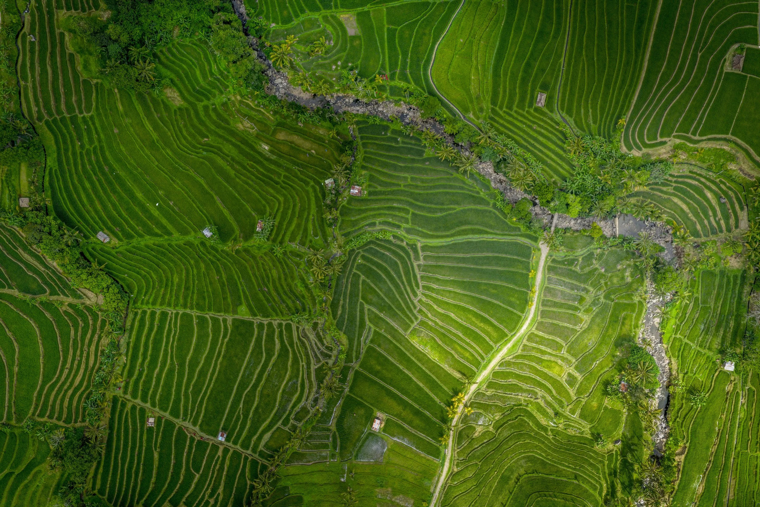 DJI_20251015232802_0353_D.jpg