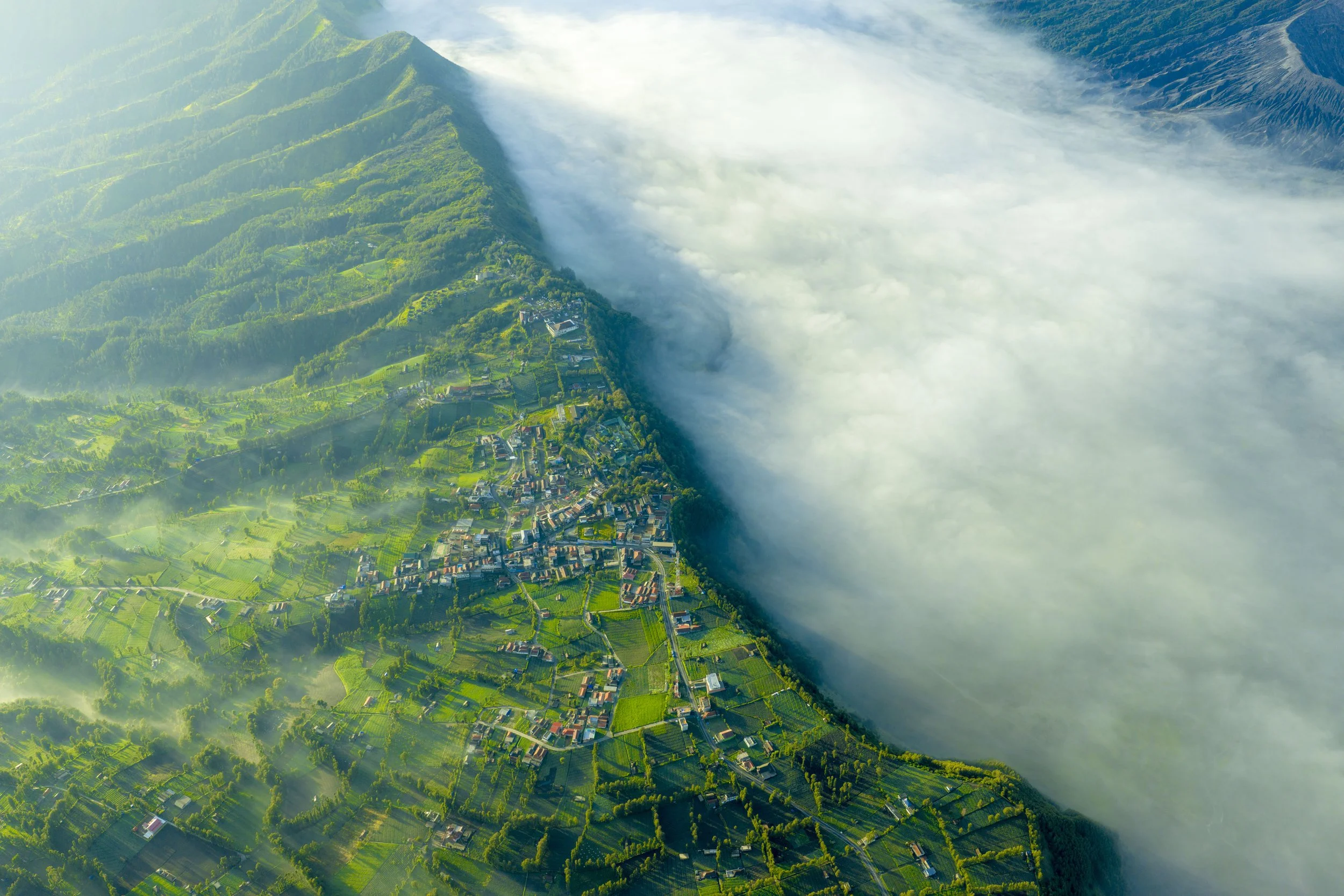 DJI_20251021153923_0614_D.jpg