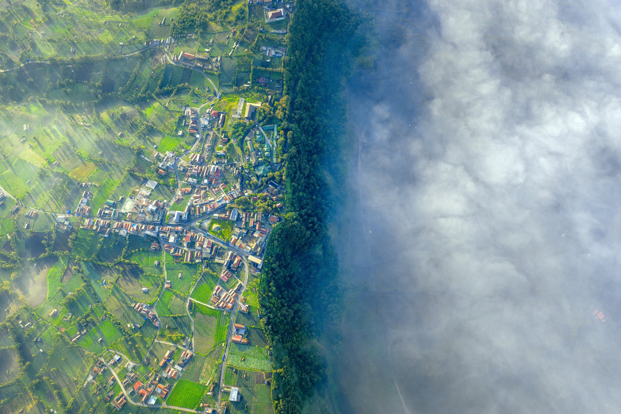 DJI_20251021154124_0621_D.jpg