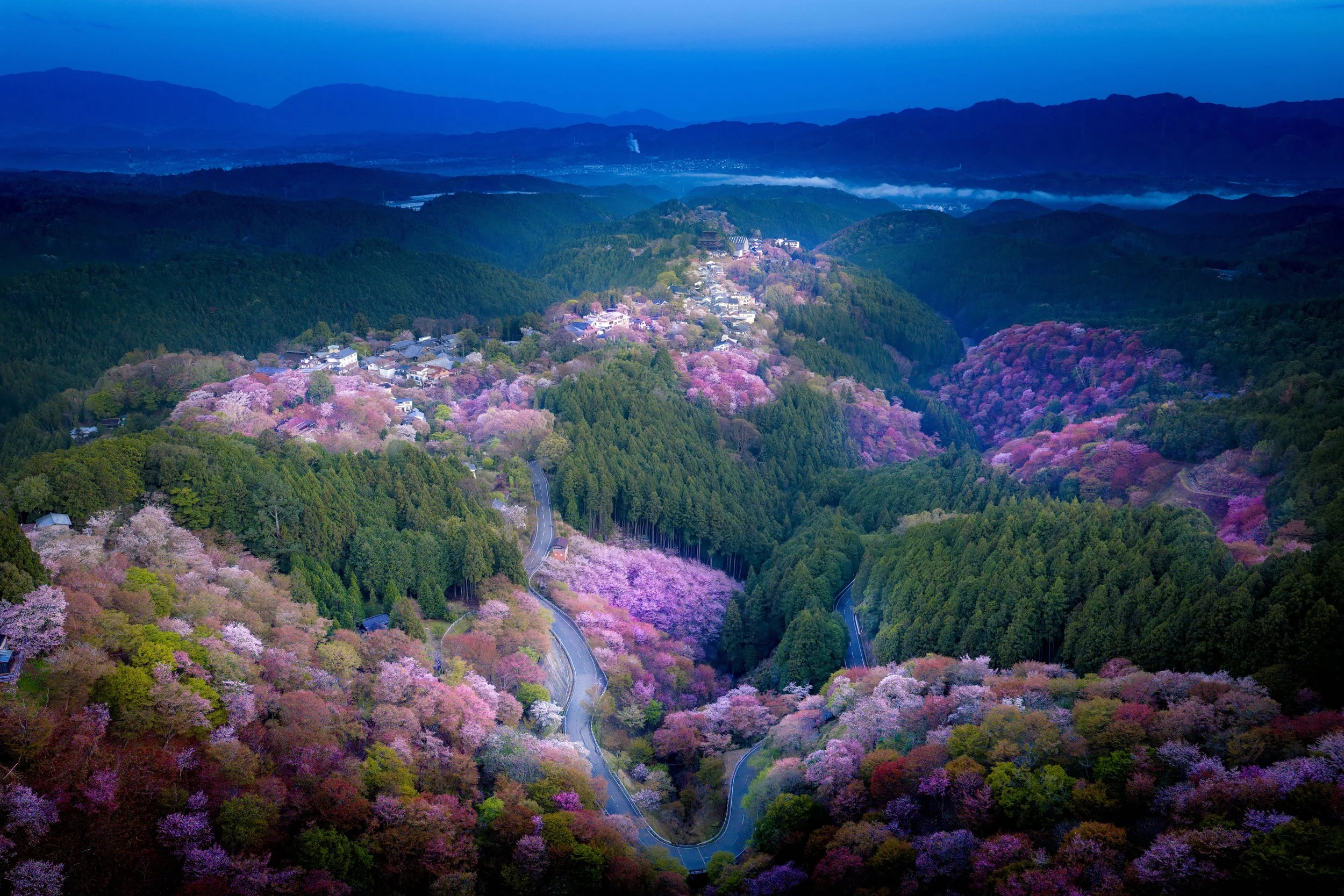 DJI_20260407133711_0984_D.jpg