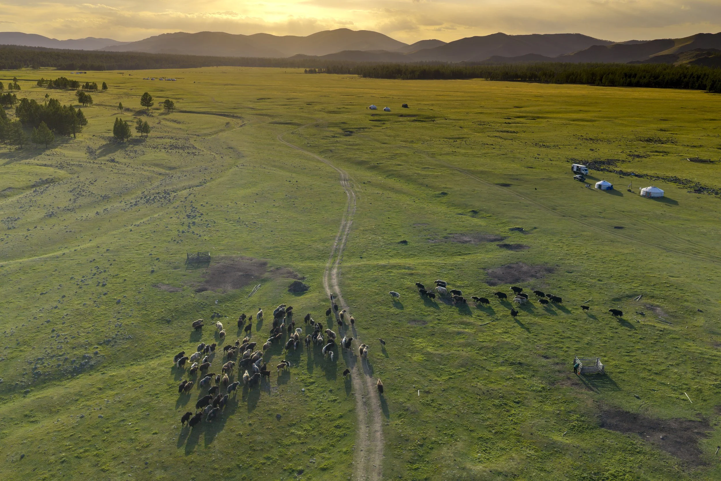 DJI_20260901032652_0871_D.jpg
