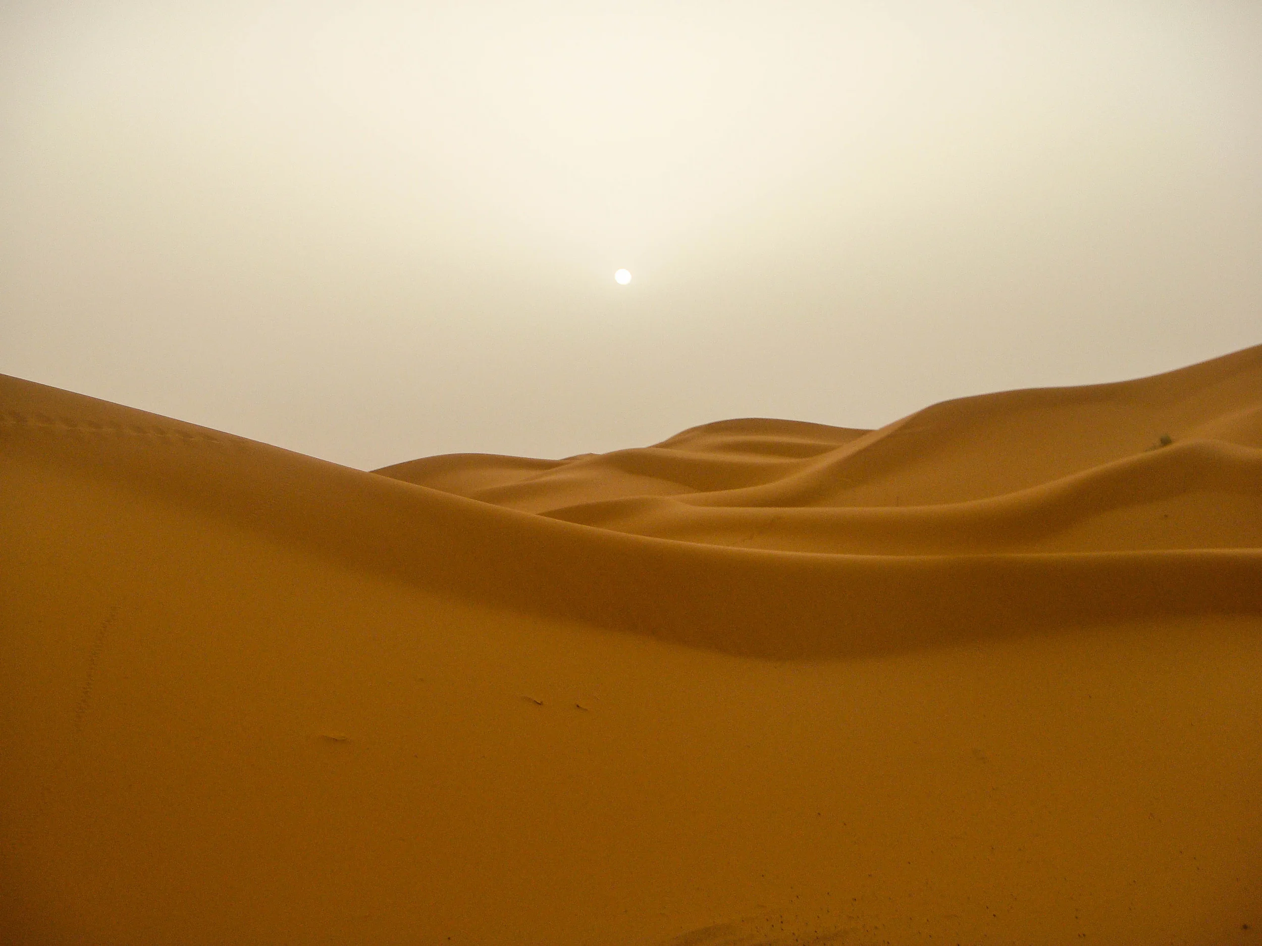 Sahara Desert, Morocco