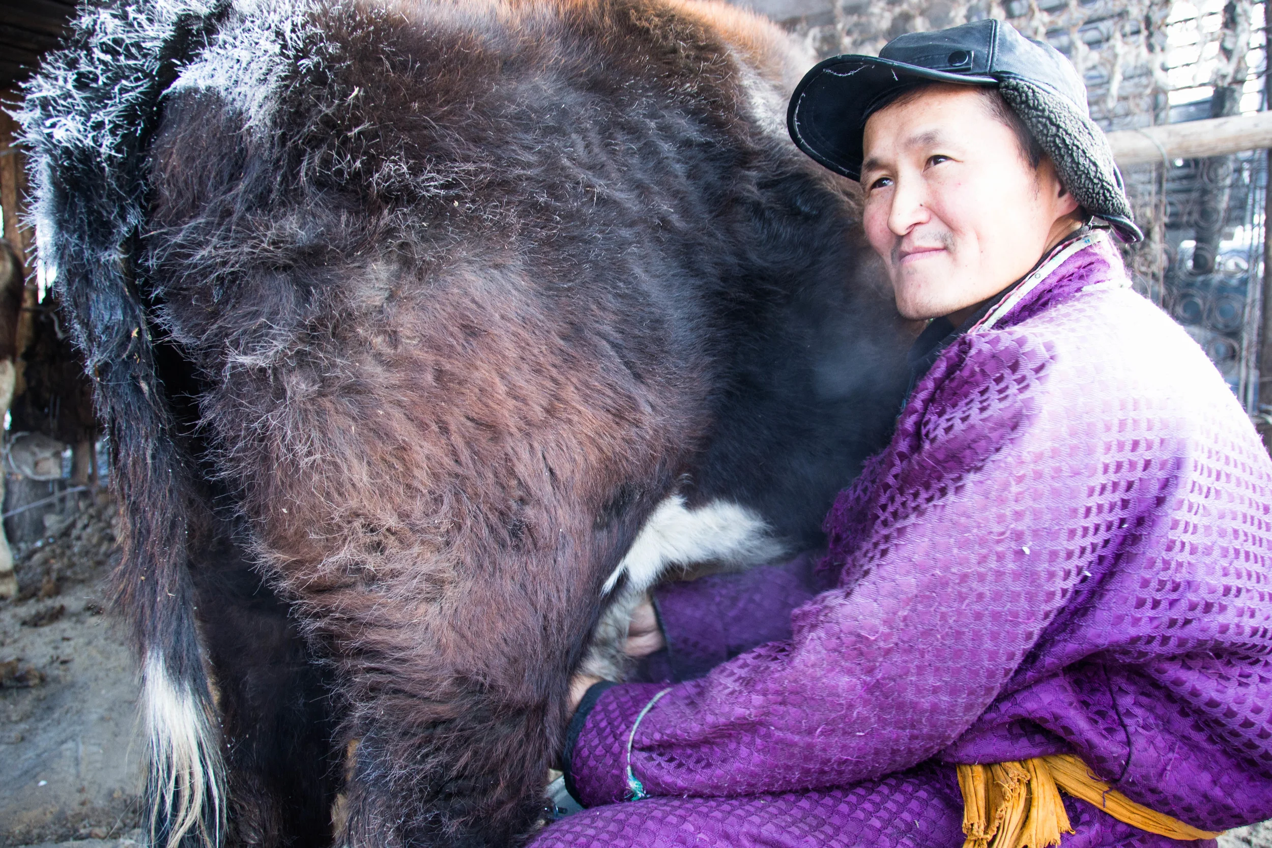 Ulaanbaatar, Mongolia