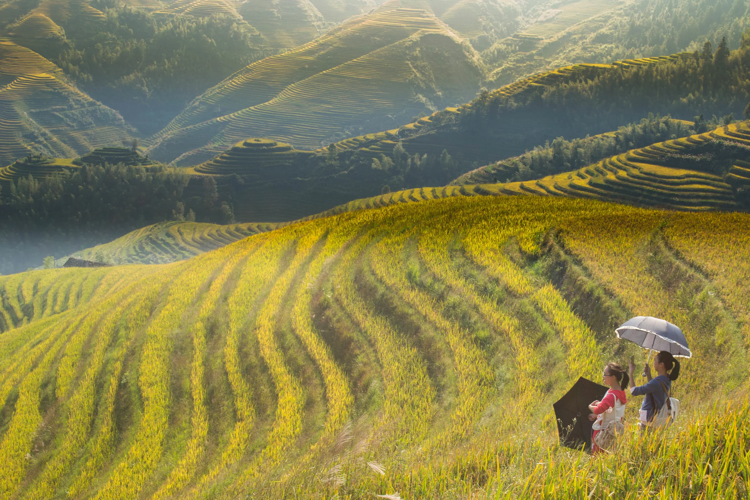 Longsheng Rice Terraces, China