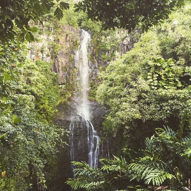 The Road to Hana had some amazing waterfalls and jungle-like foliage. It felt like a whole different world from the other side of the island.