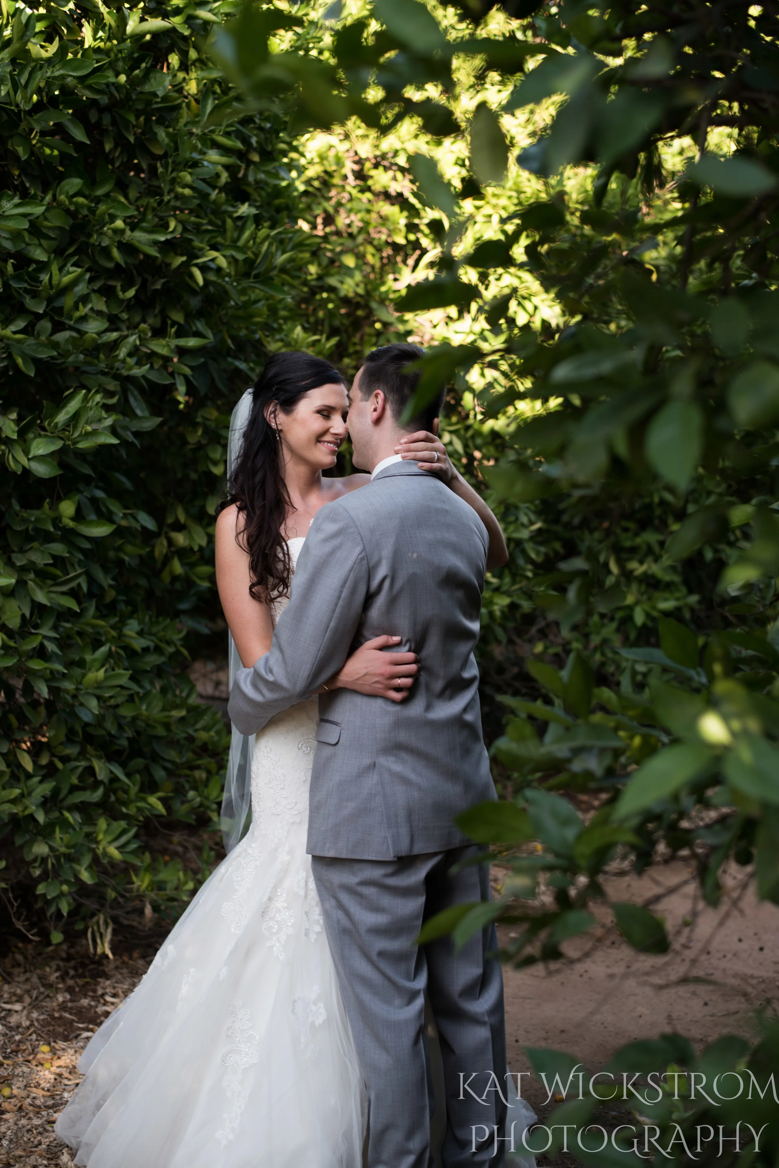 orange grove winery wedding portraits