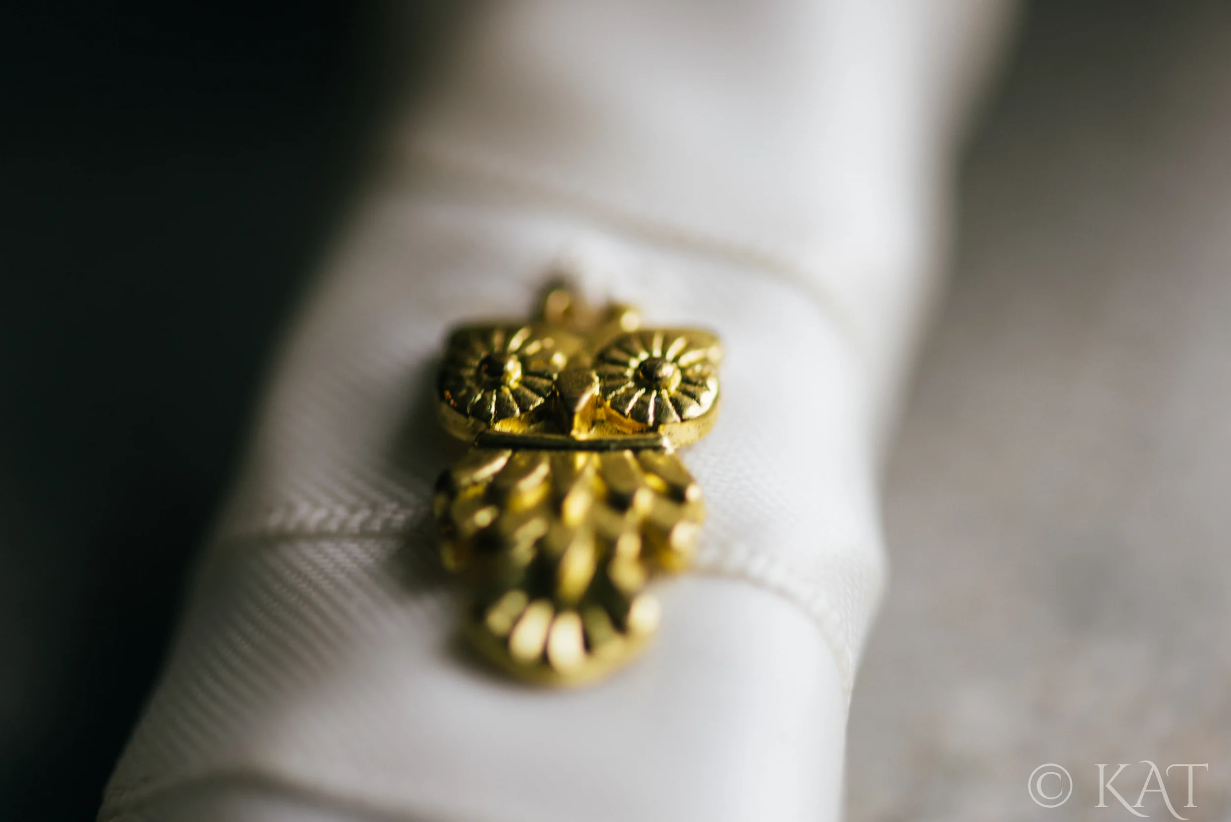 Also, my spirit animal is the owl, full of wisdom and age.