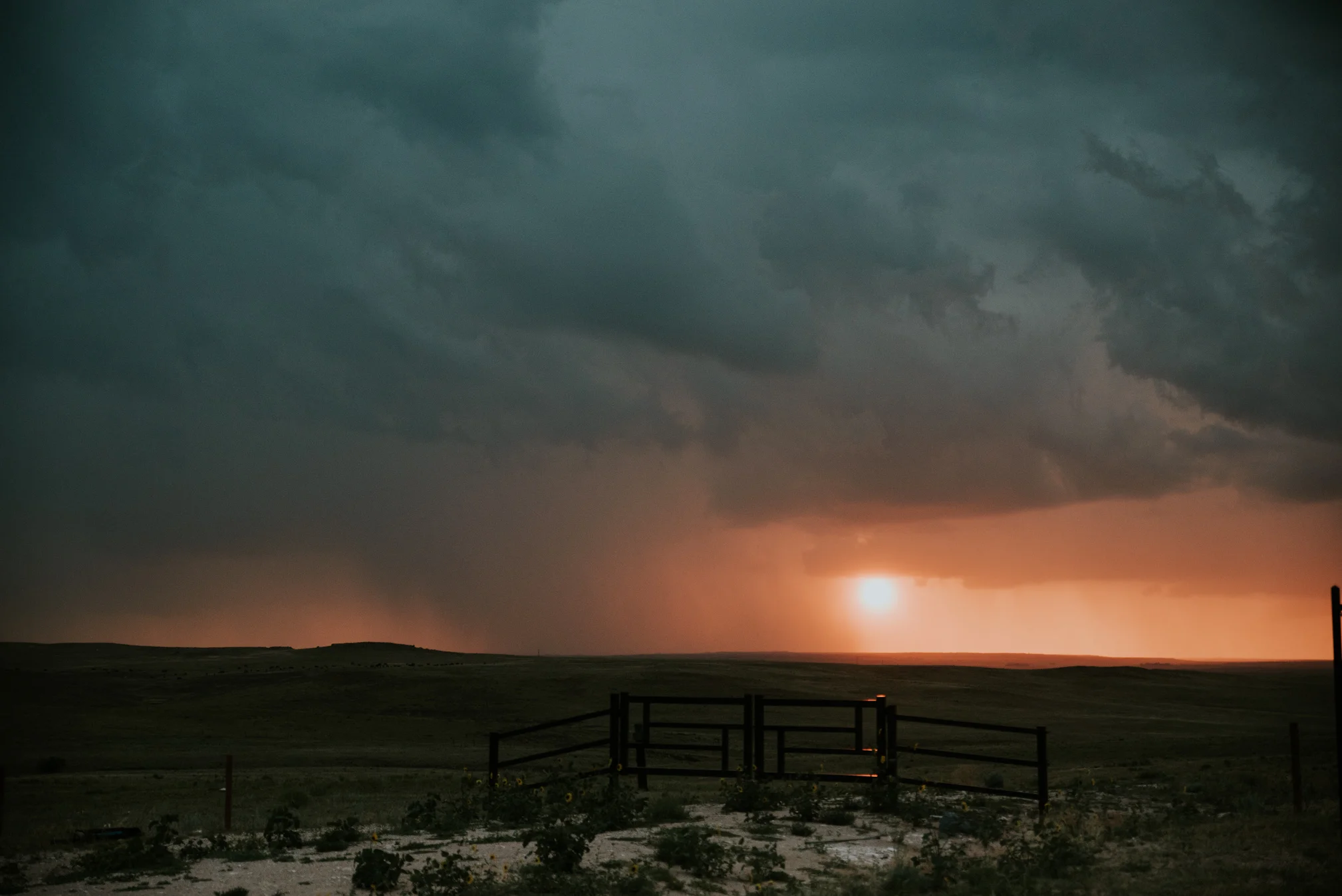 Nebraska-1.jpg