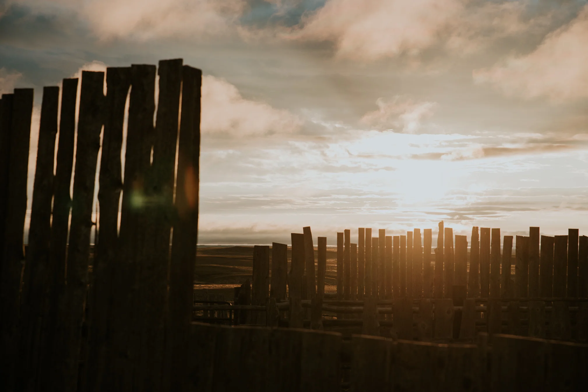 Carrie Ranch-4.jpg