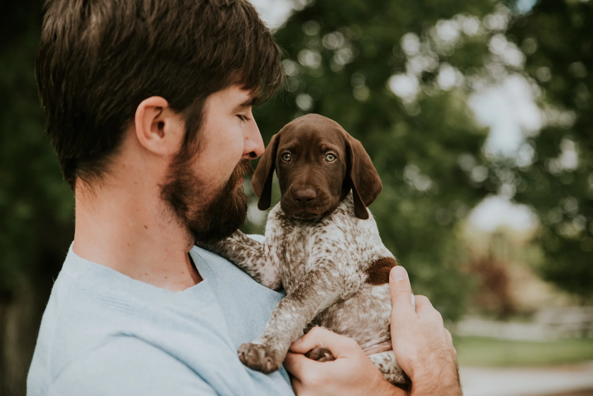 Puppy-1.jpg