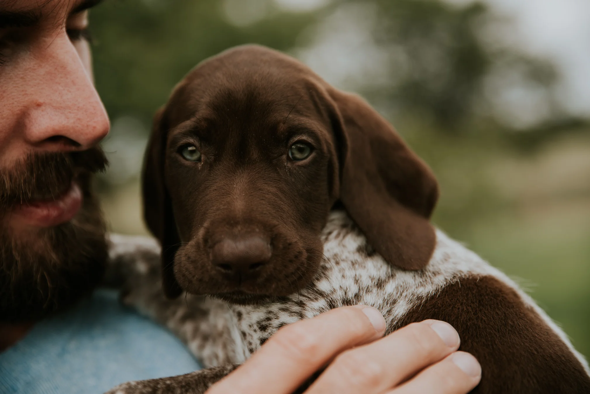 Puppy-7.jpg