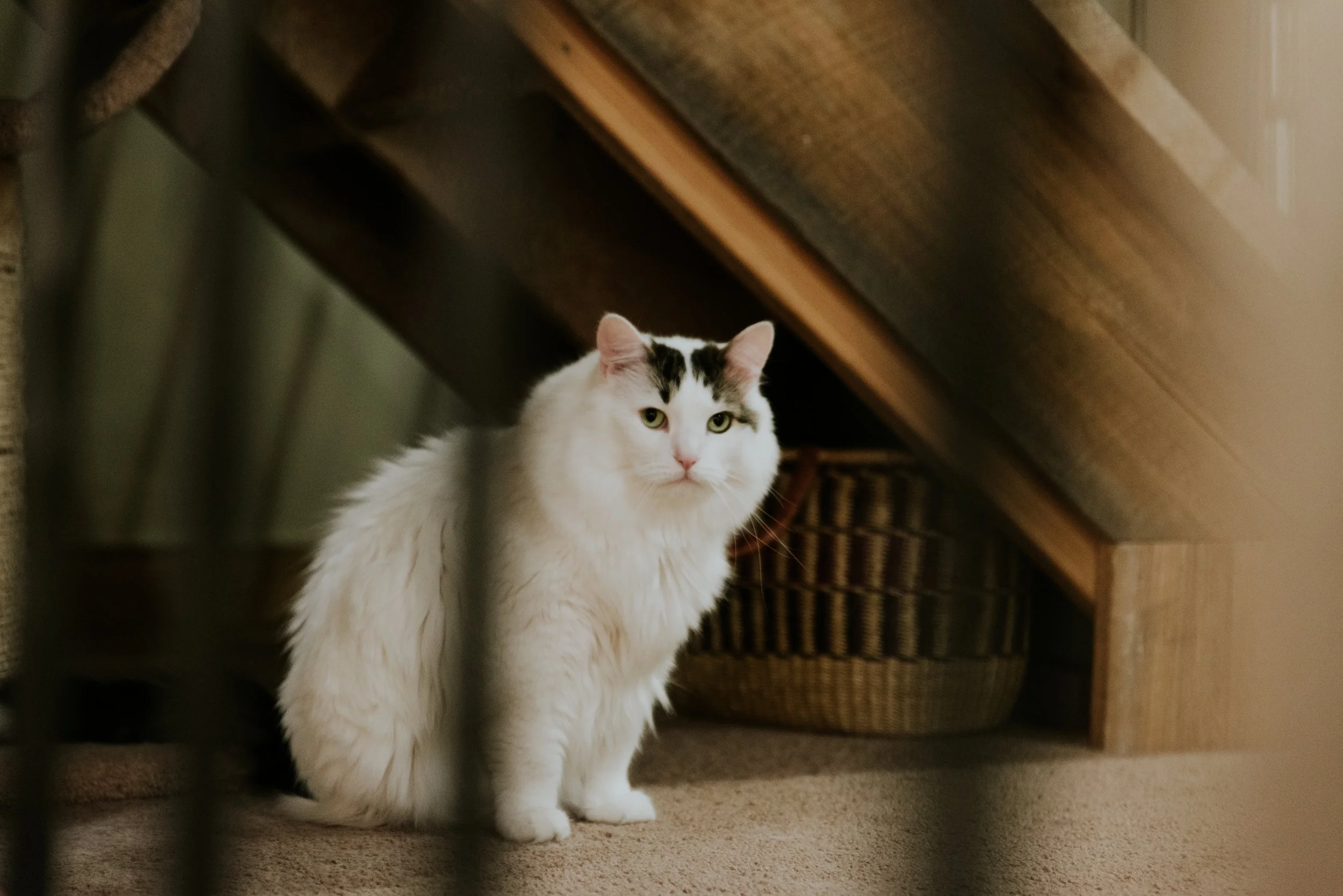 Liam + Whitney-138.jpg