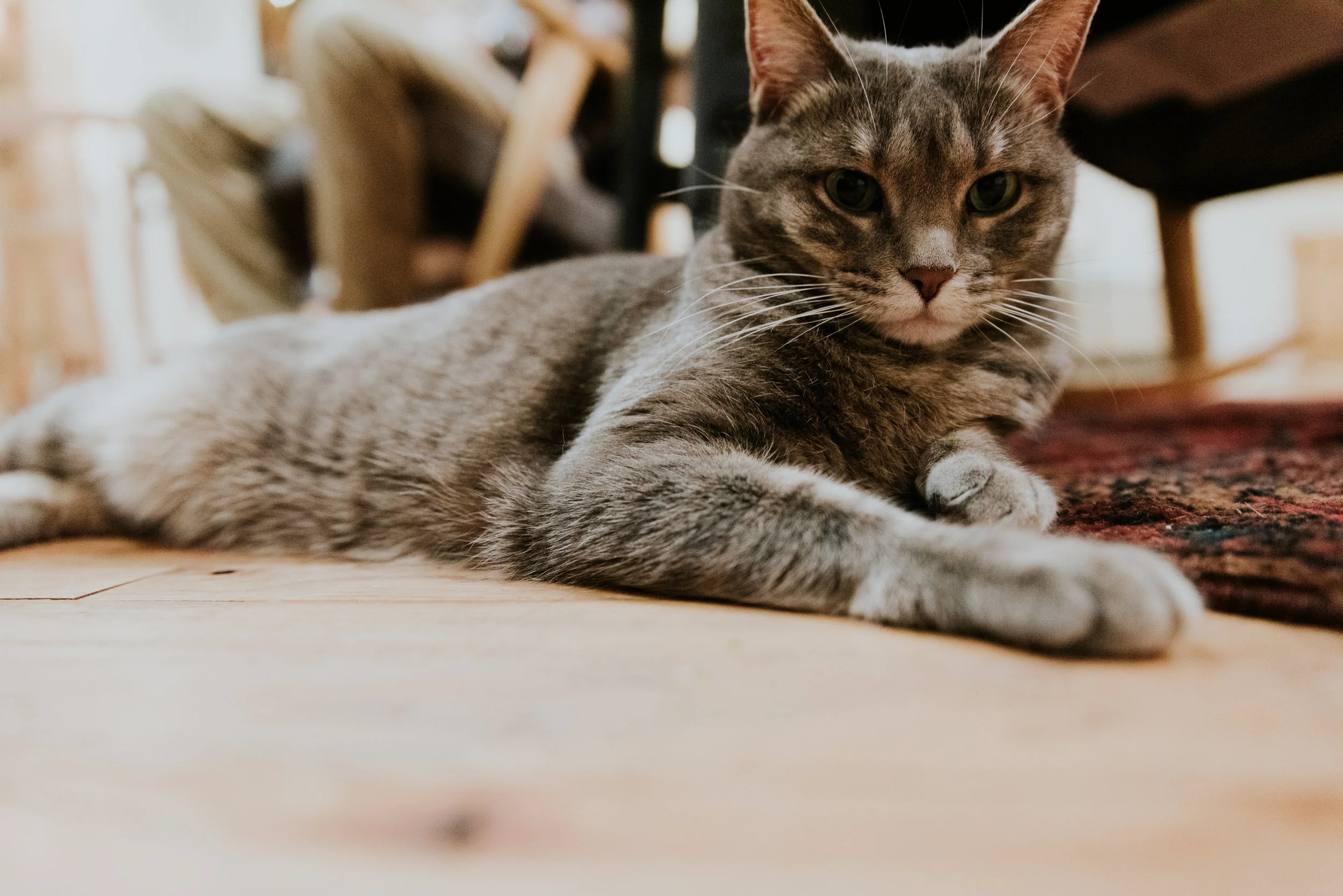 Liam + Whitney-147.jpg