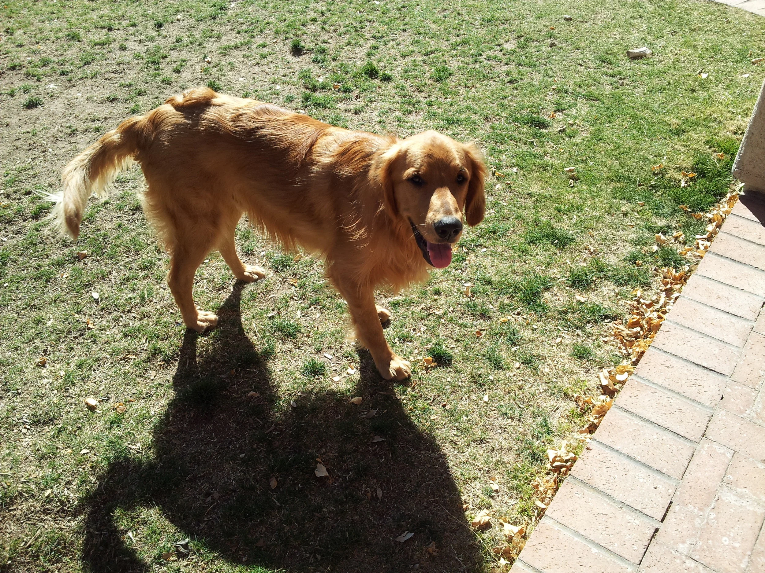 20130225_102356.jpg