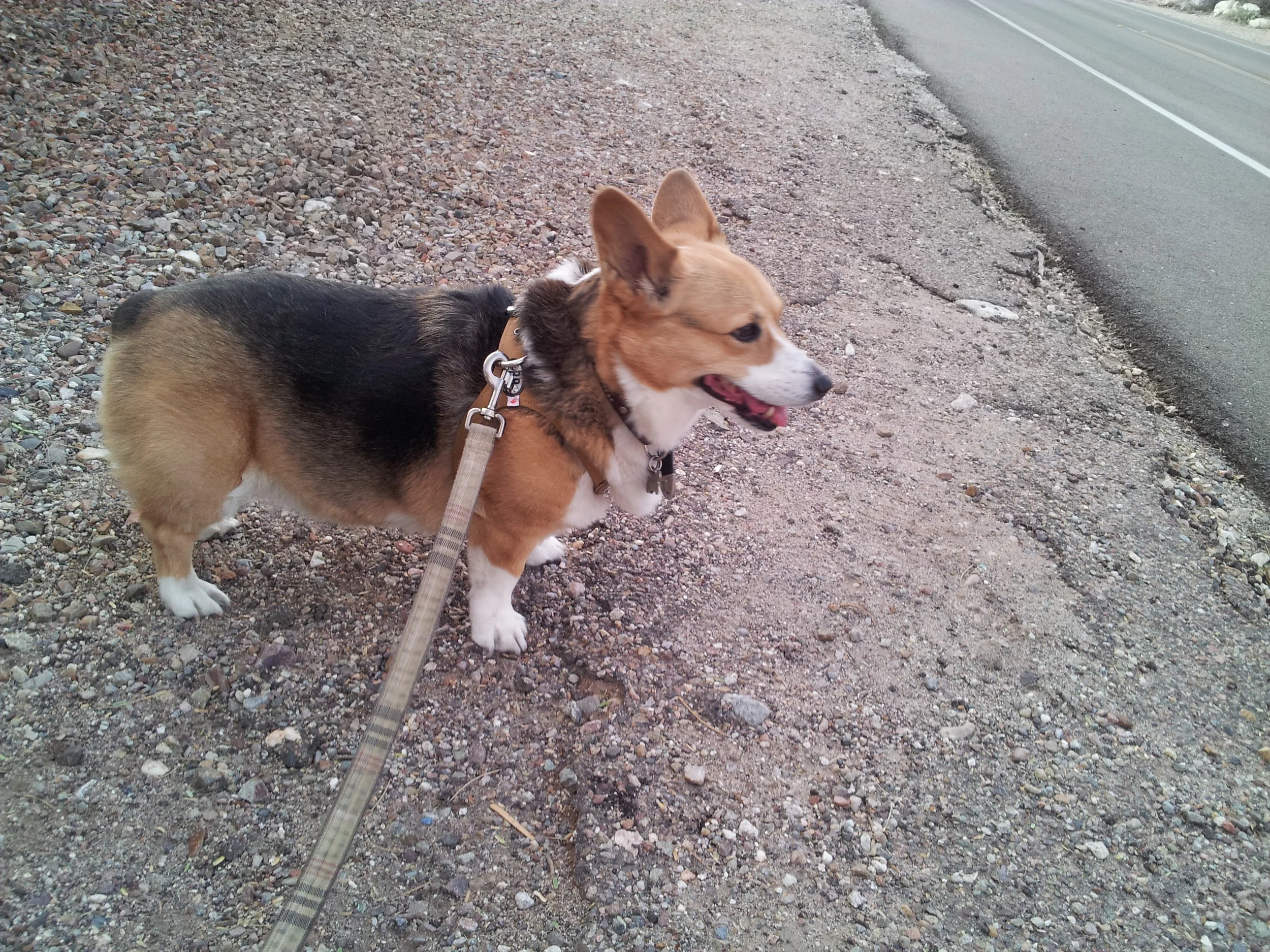 20121109_170540.jpg