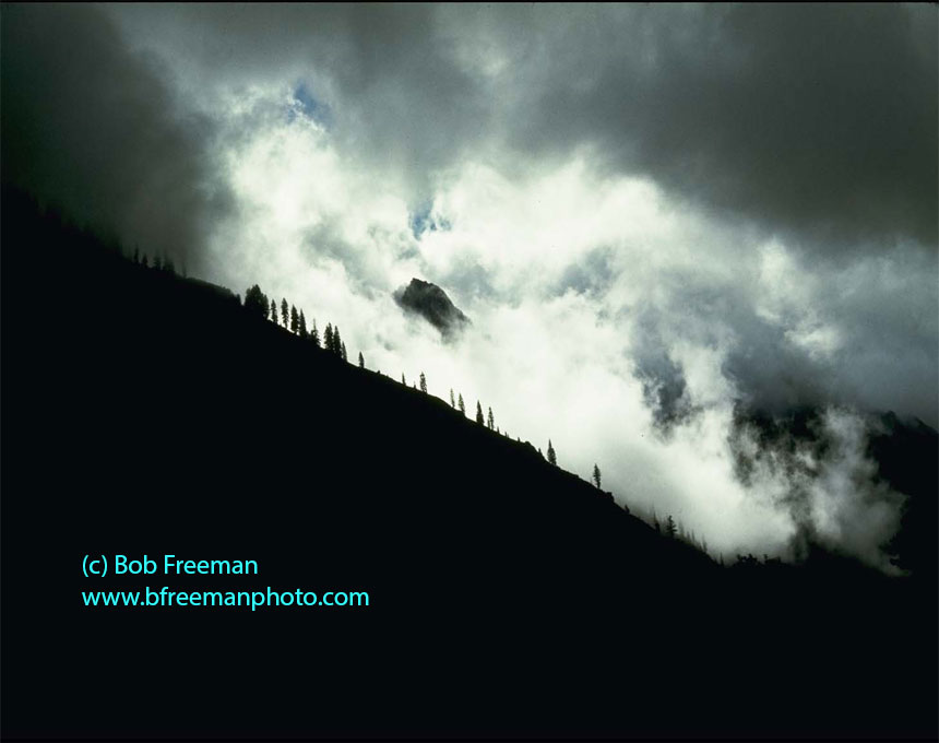 All photos on this web site are © Bob Freeman, 2014, All Rights Reserved More photos at www.breemanphoto.com