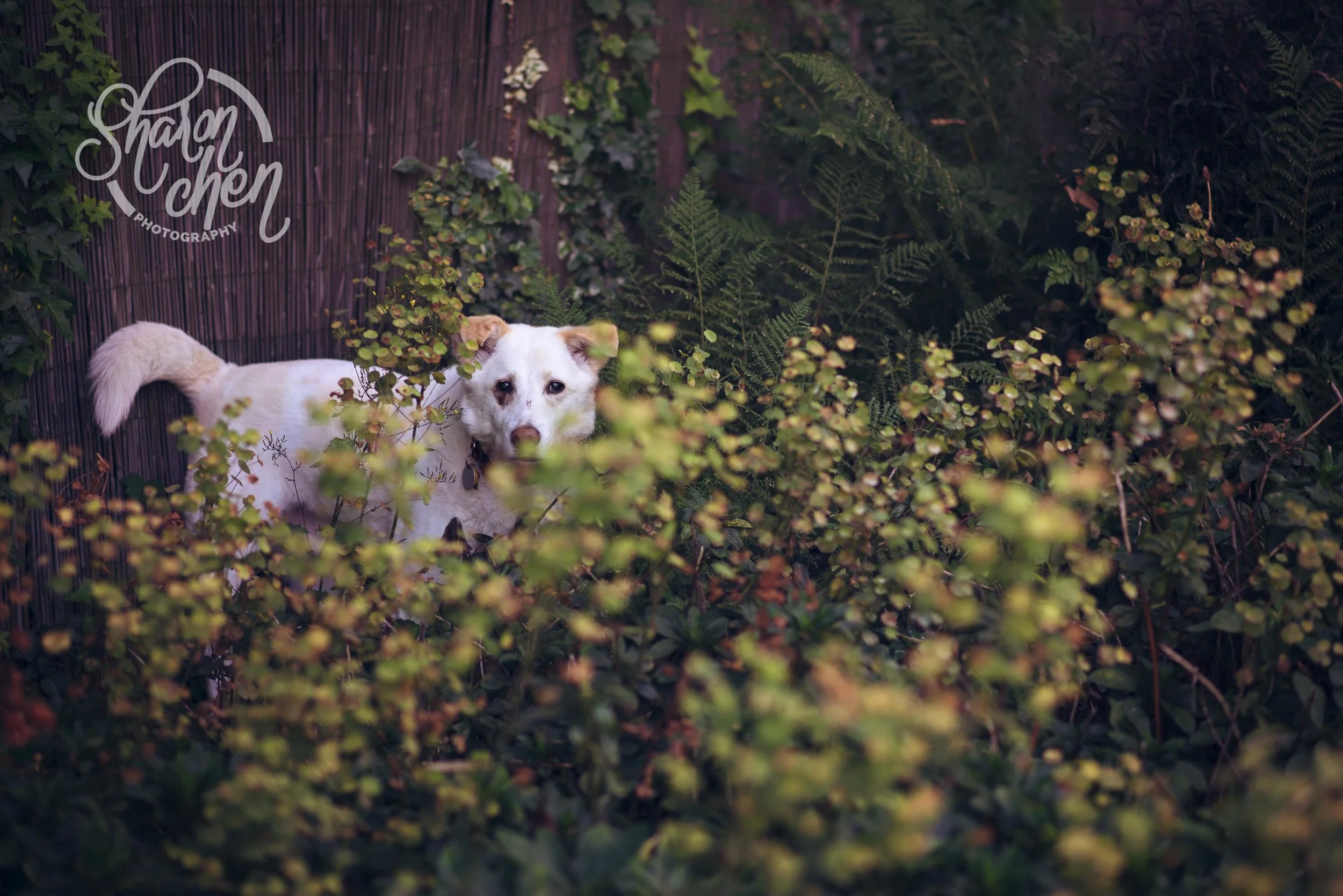 DSC_6097-Edit.jpg