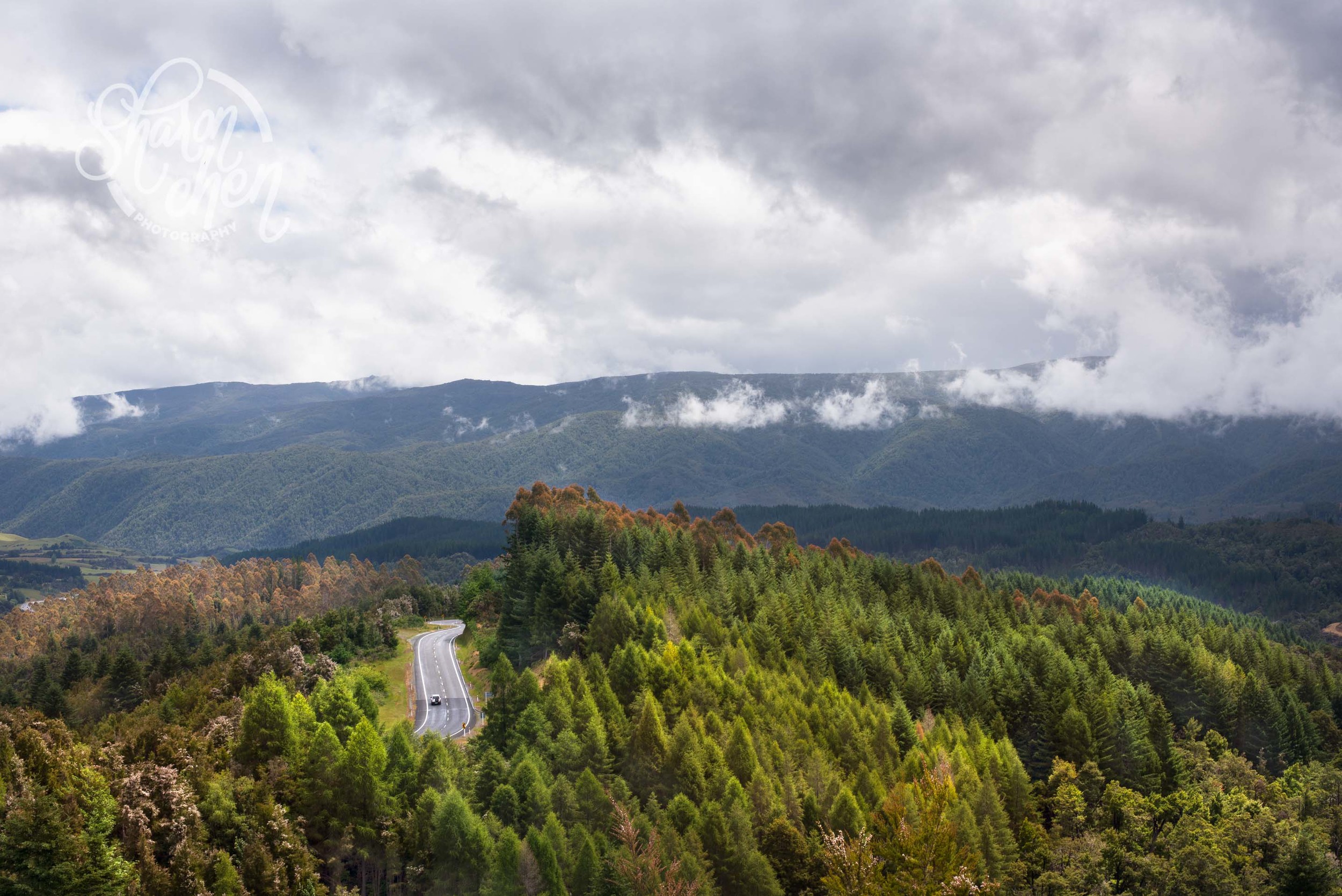 DSC_4694-Edit-2.jpg